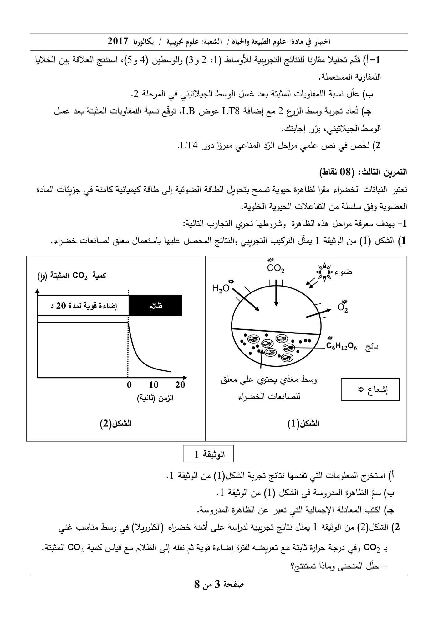 الصفحة 3 من 8