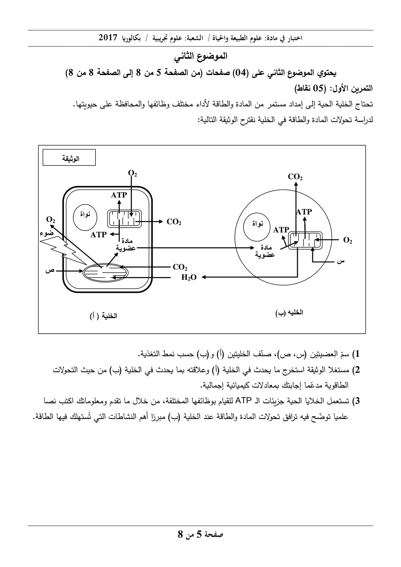 الصفحة 5 من 8