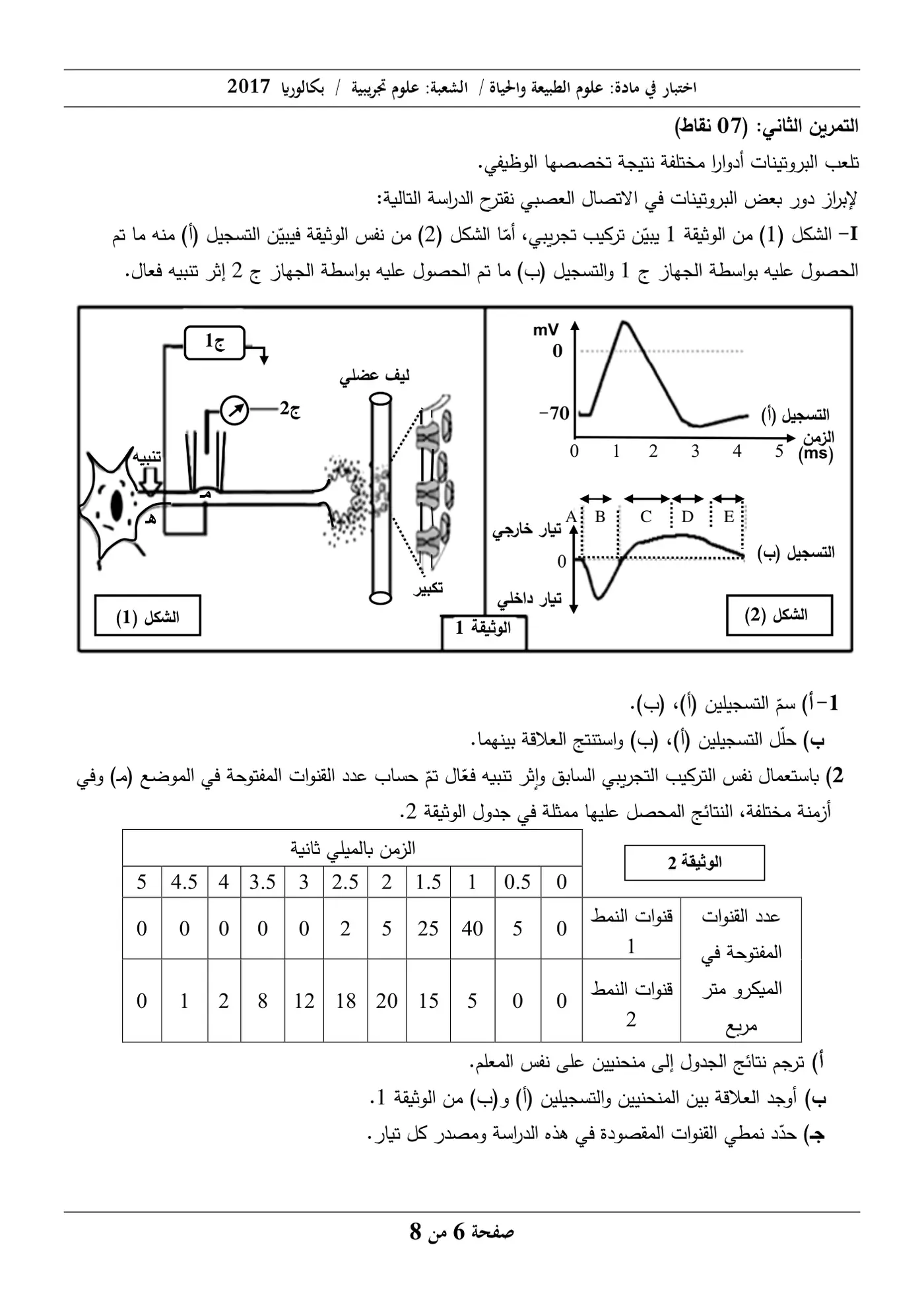 الصفحة 6 من 8