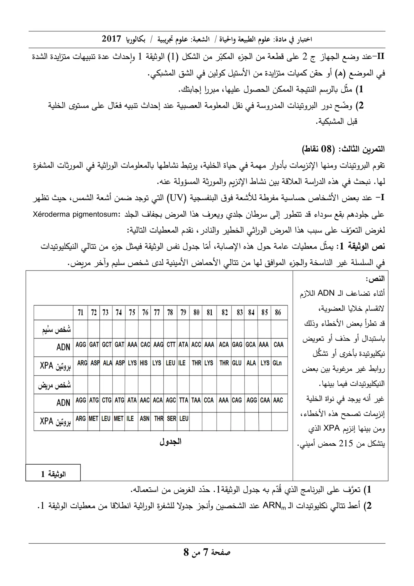 الصفحة 7 من 8