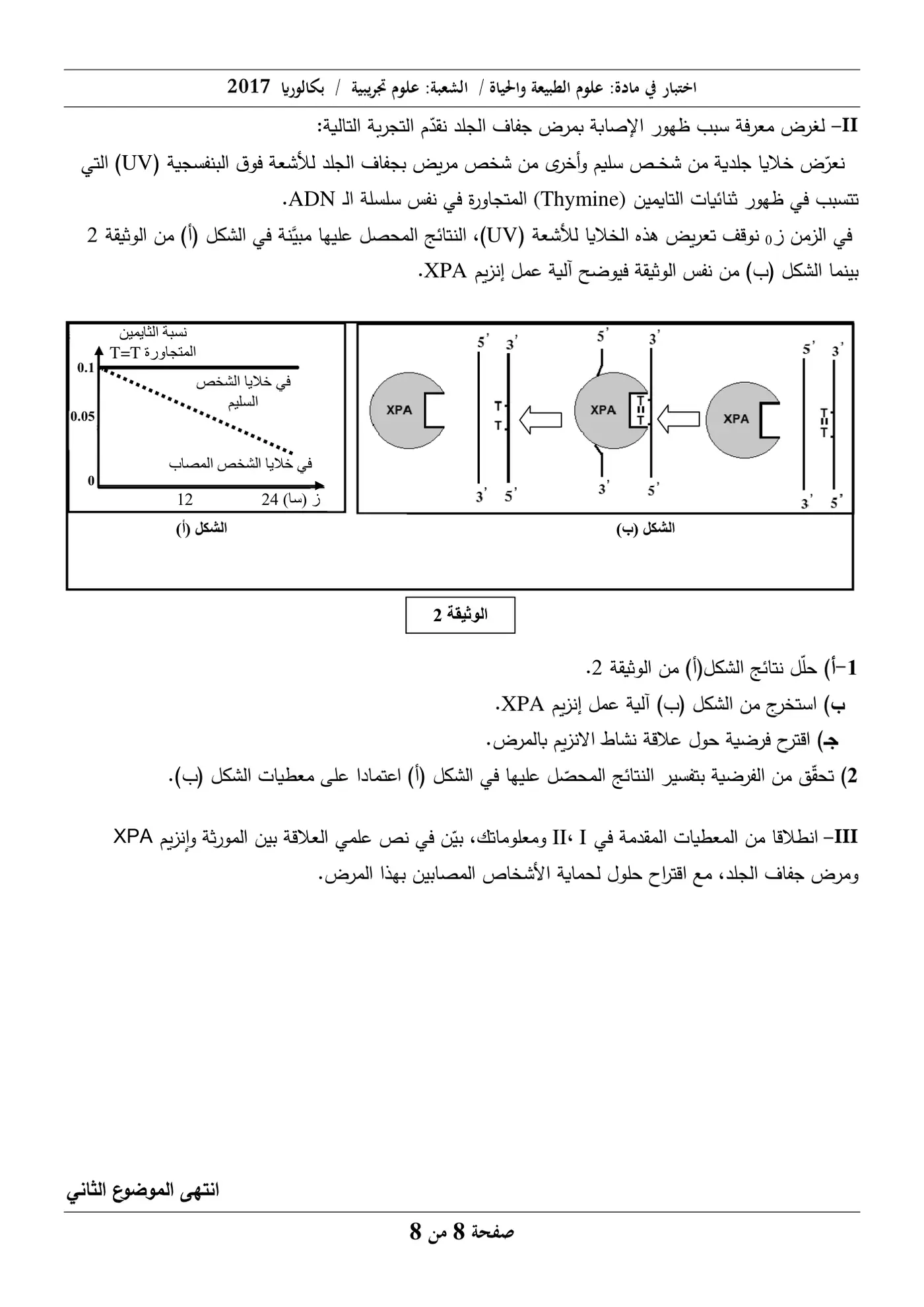 الصفحة 8 من 8