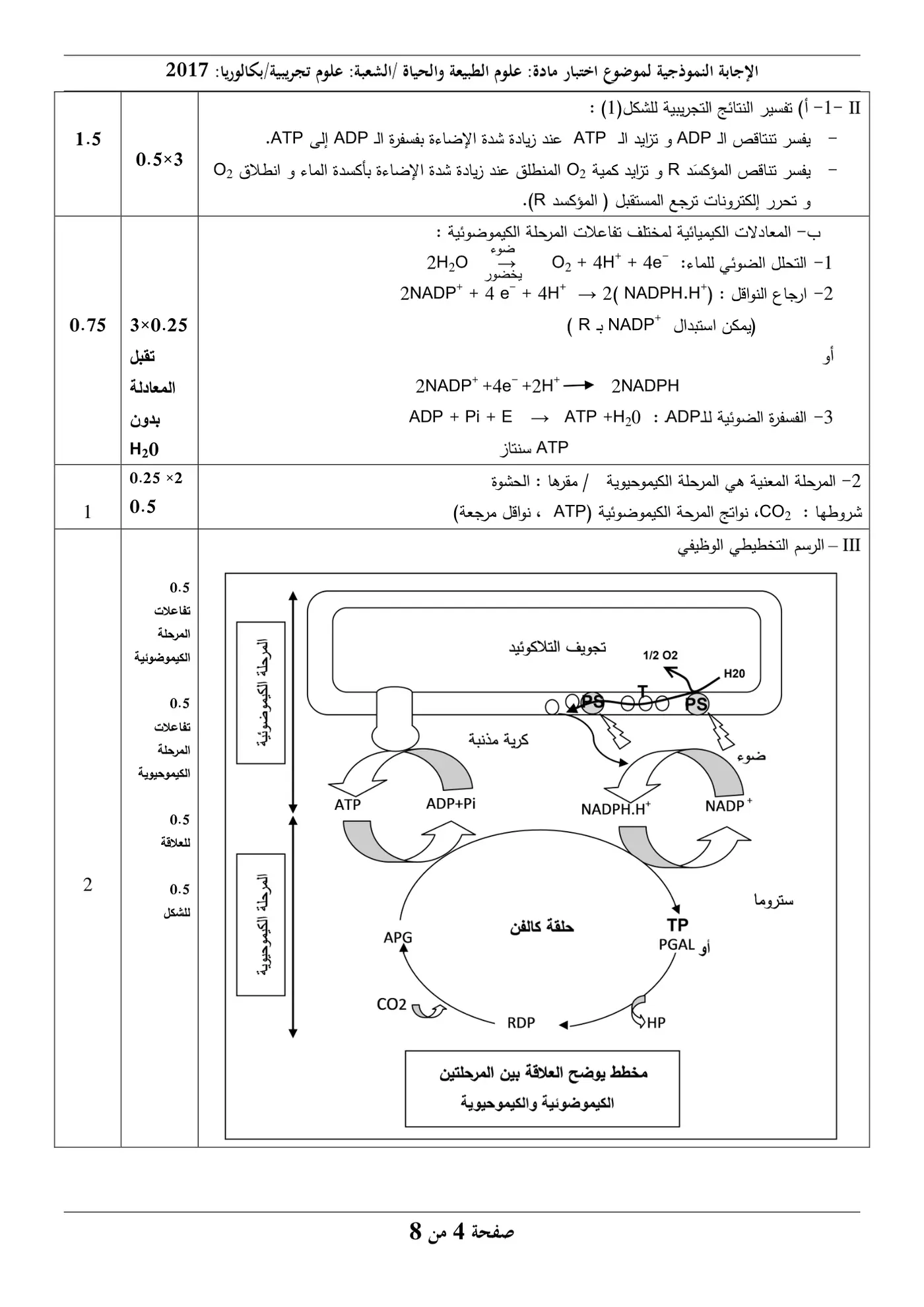 الصفحة 4 من 8