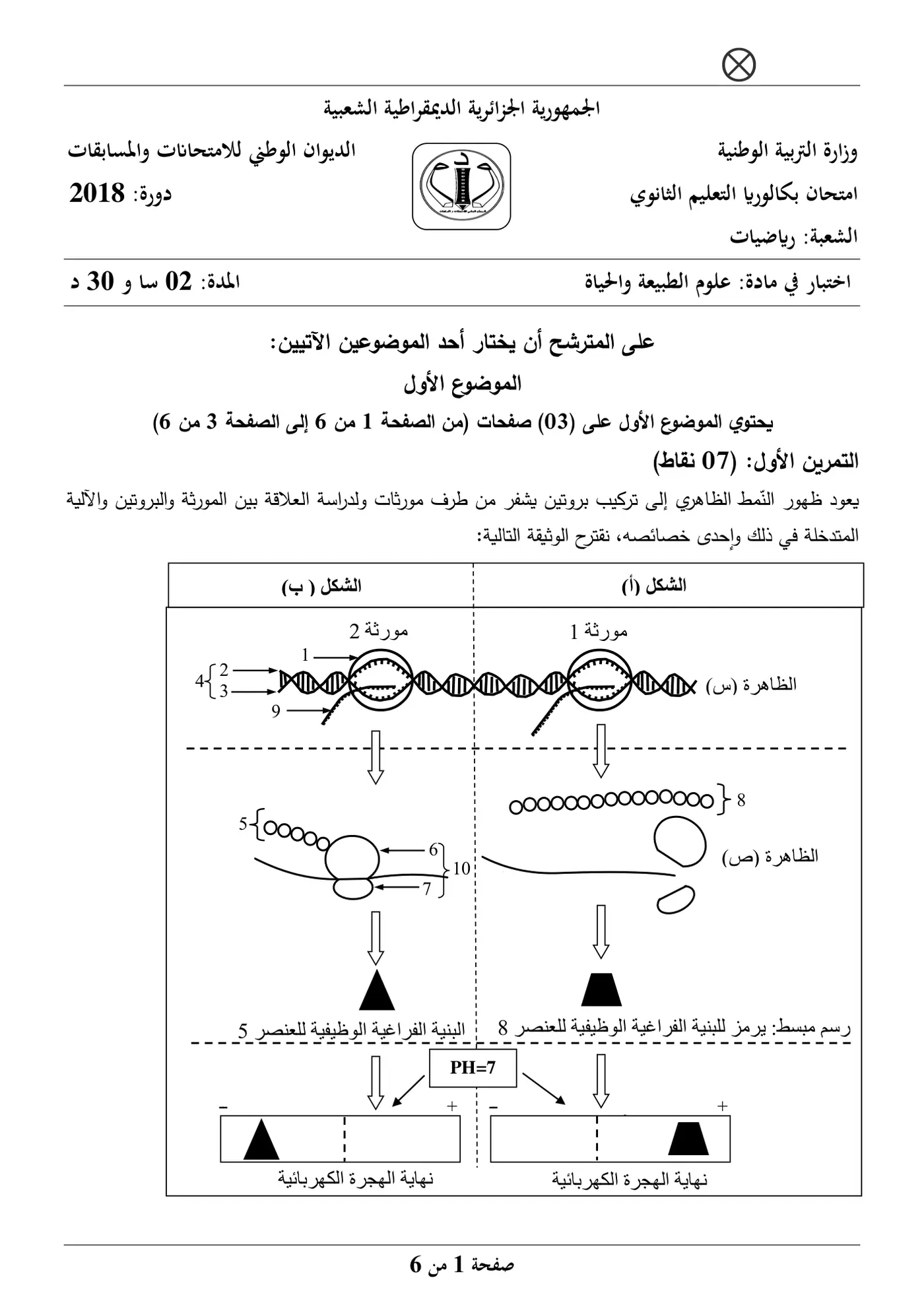 الصفحة 1 من 6