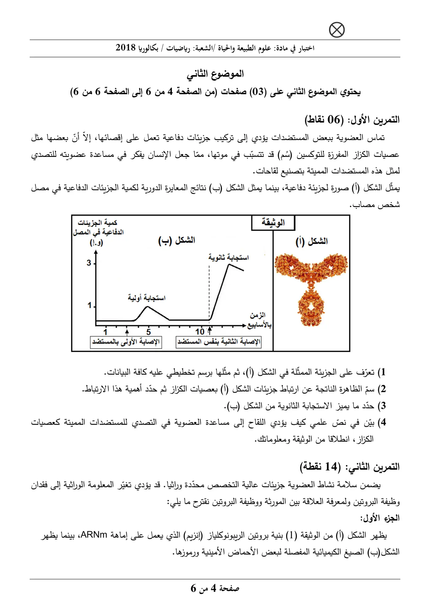 الصفحة 4 من 6