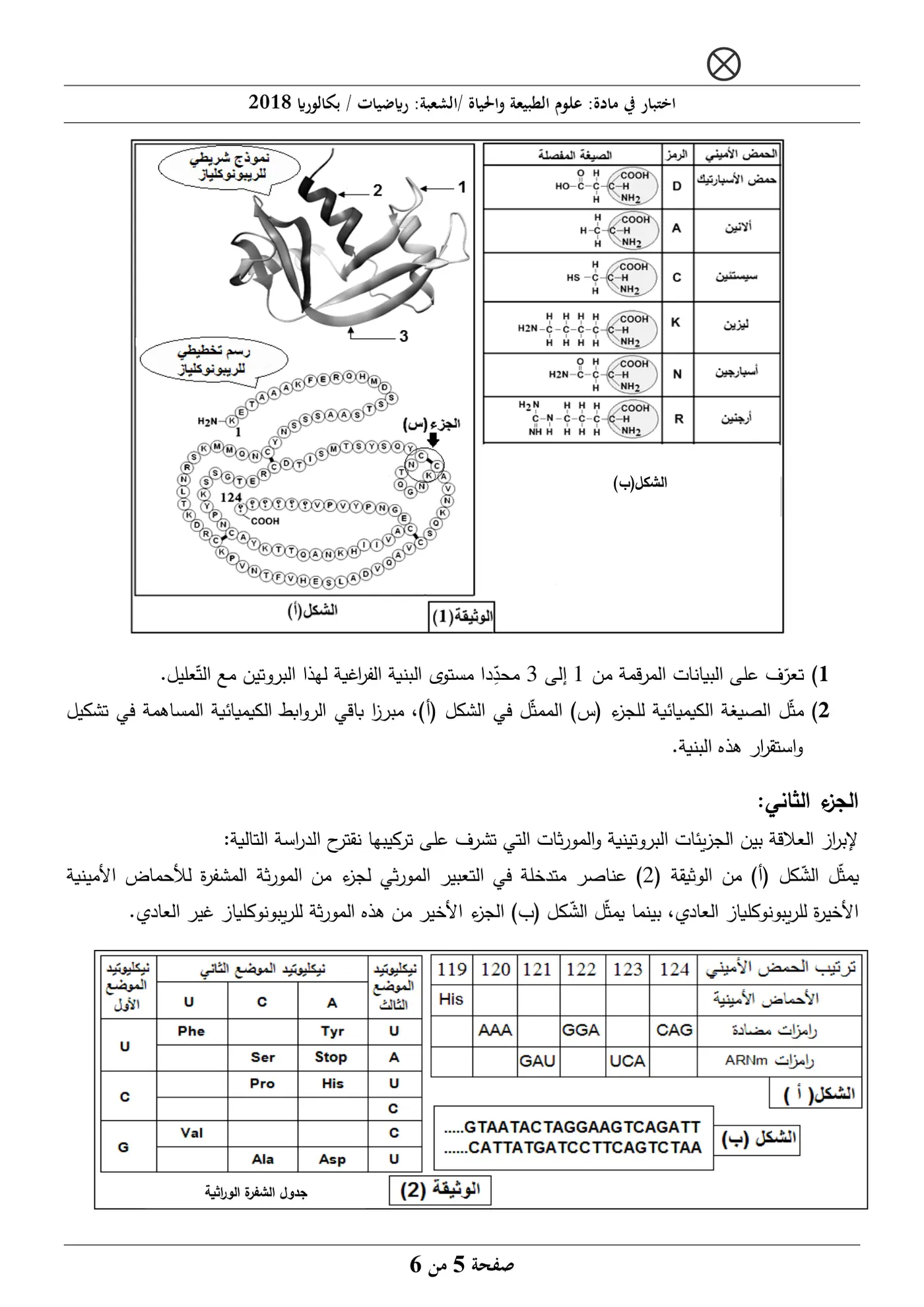 الصفحة 5 من 6