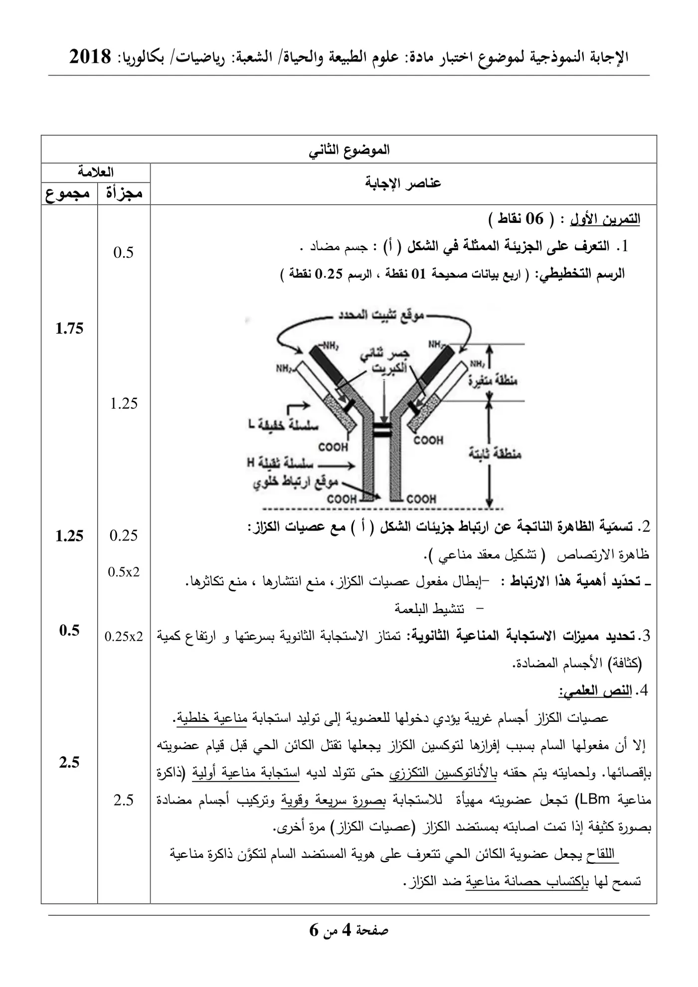 الصفحة 4 من 6