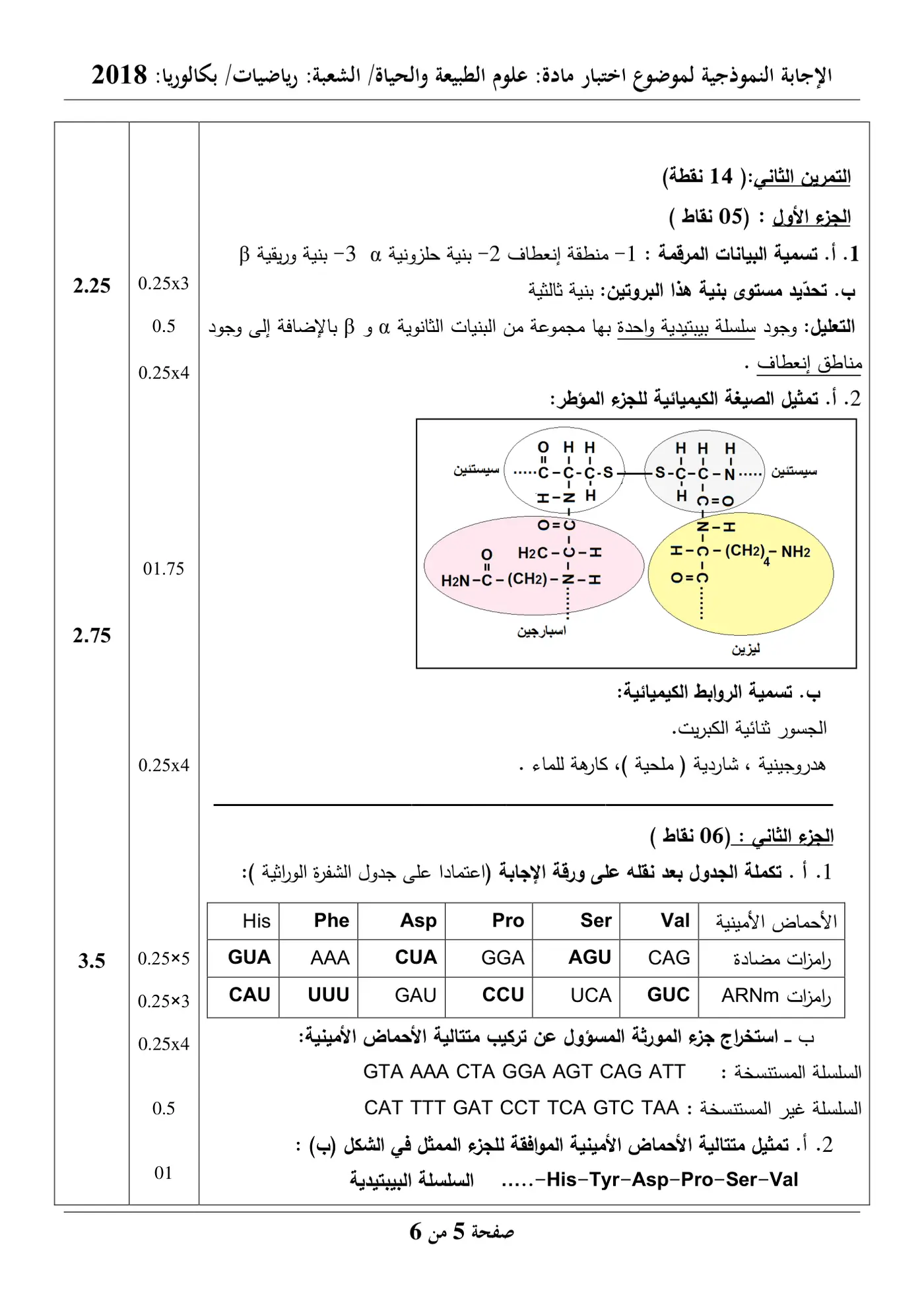 الصفحة 5 من 6