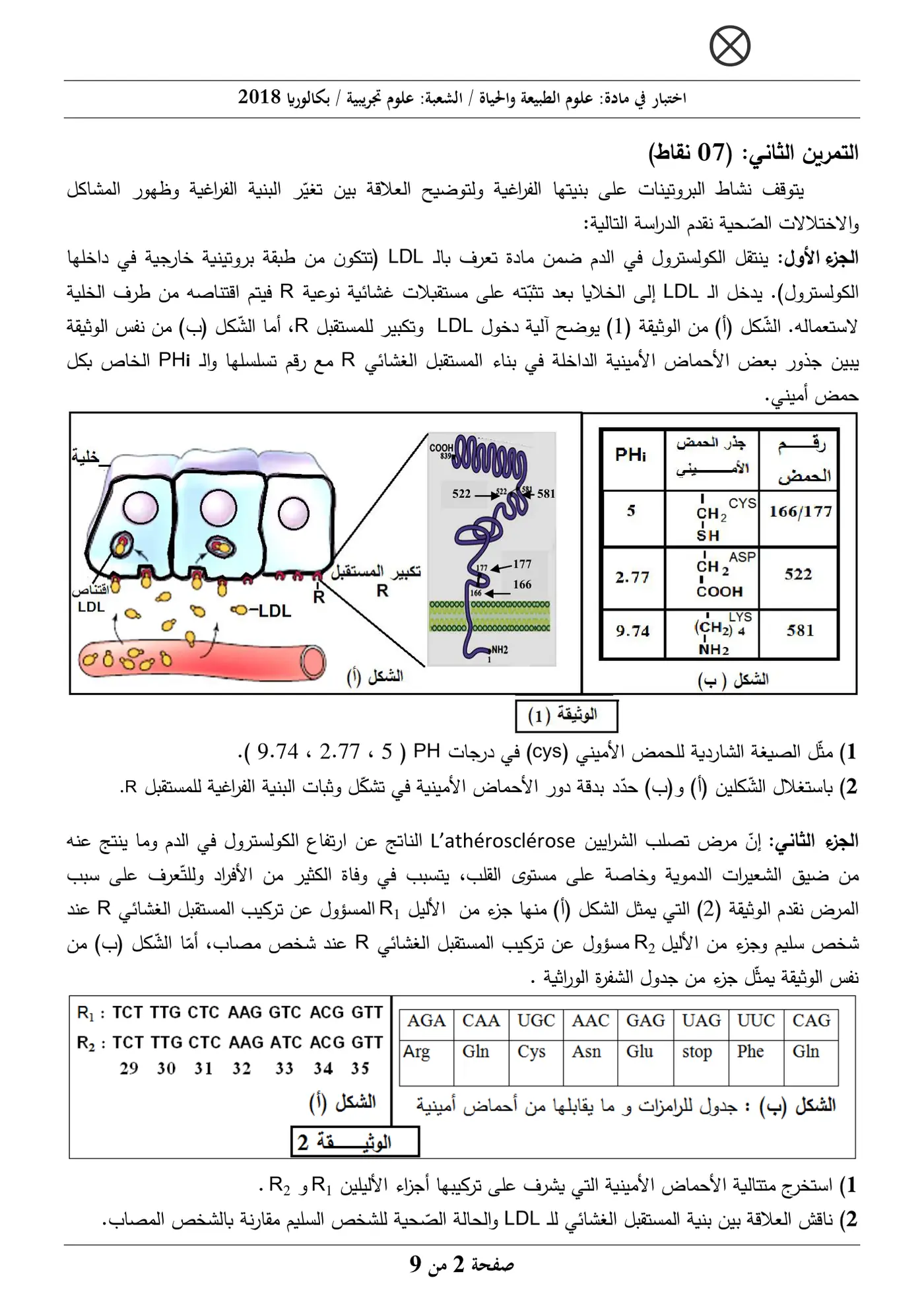 الصفحة 2 من 9