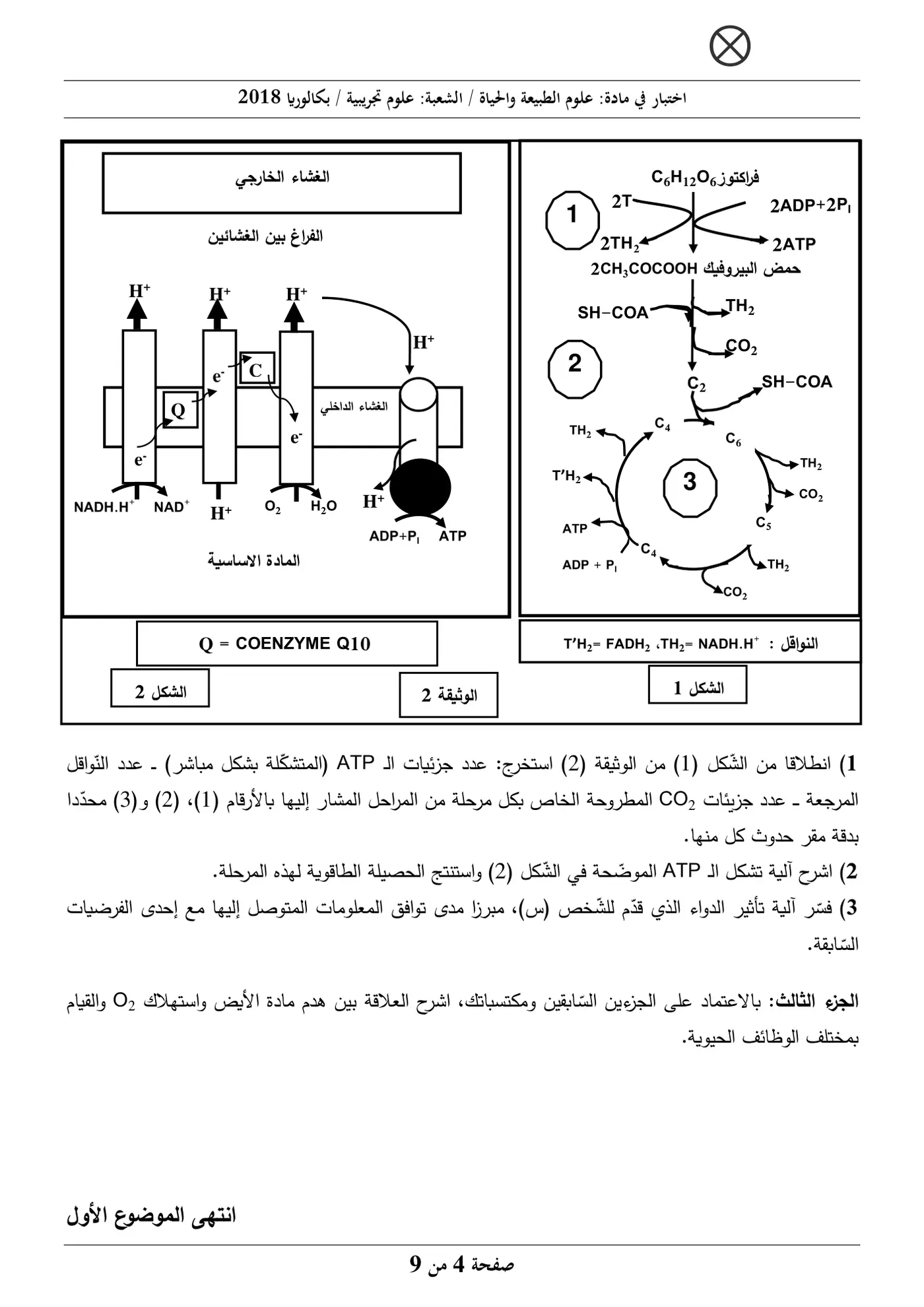 الصفحة 4 من 9