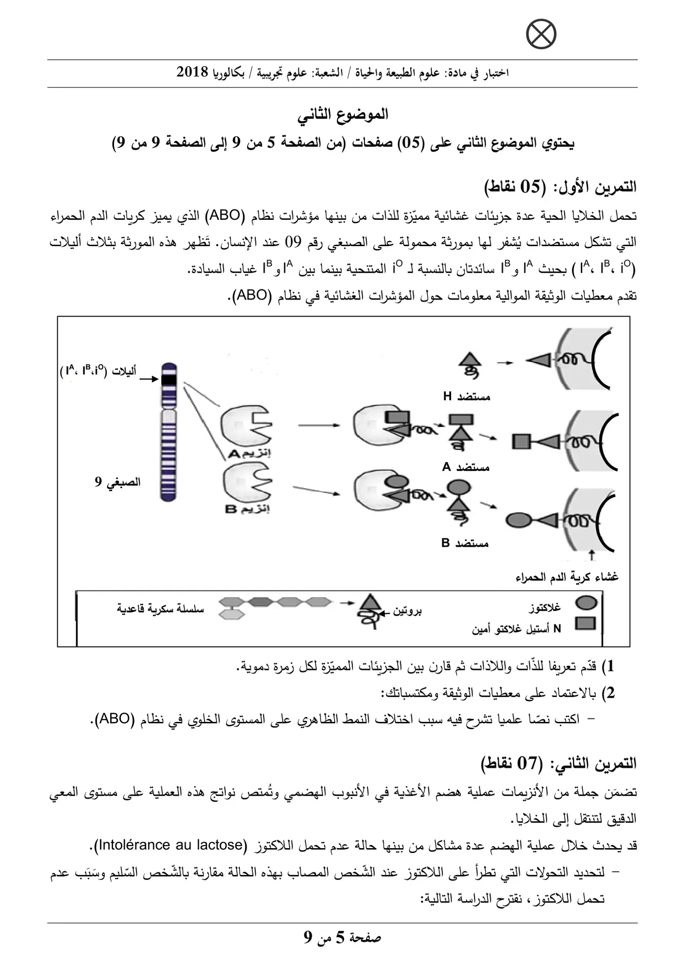 الصفحة 5 من 9