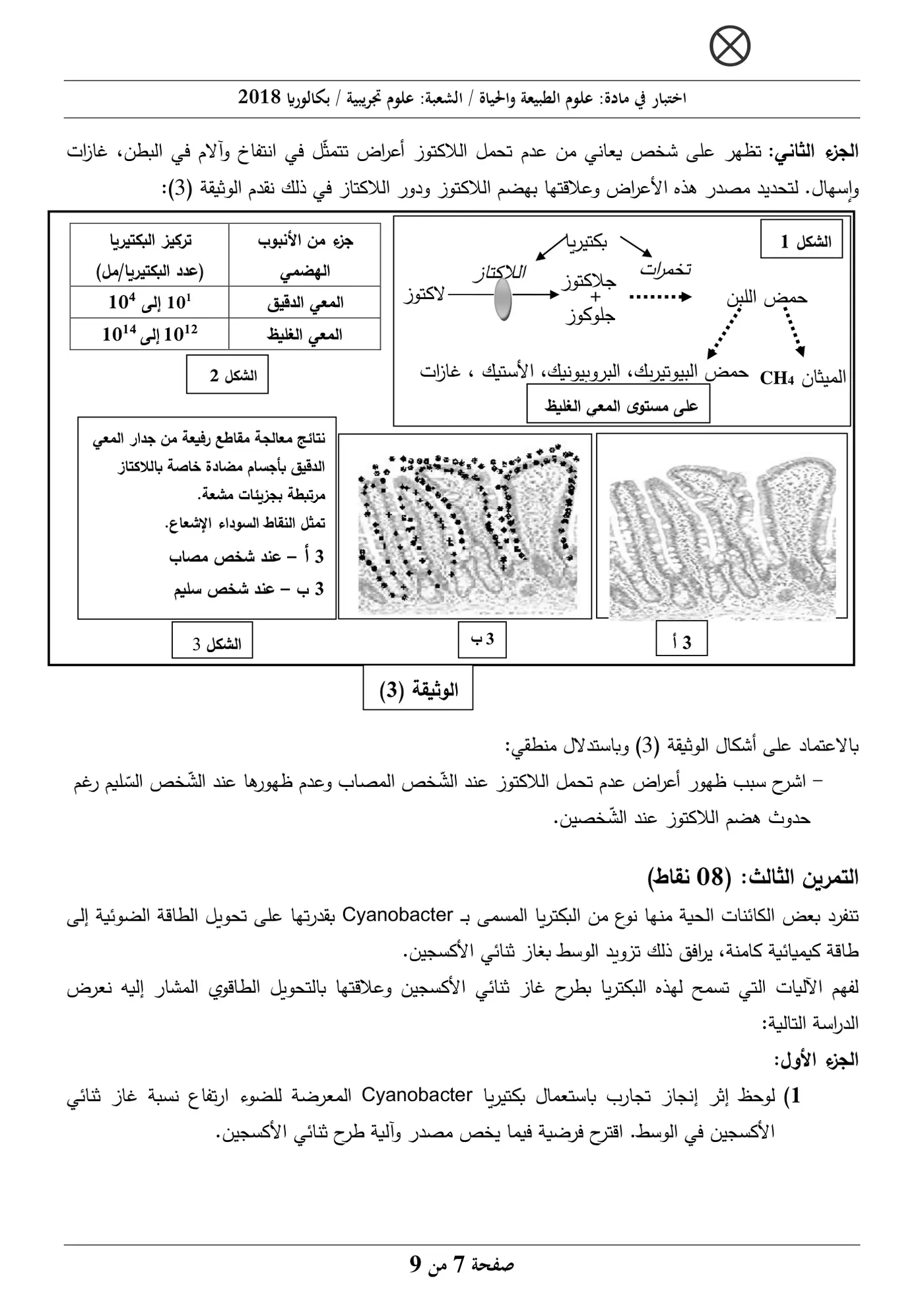 الصفحة 7 من 9