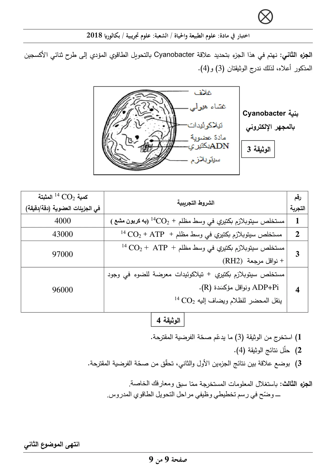 الصفحة 9 من 9