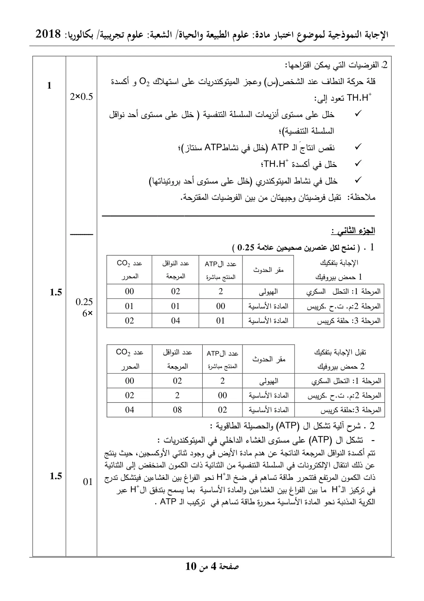 الصفحة 4 من 10
