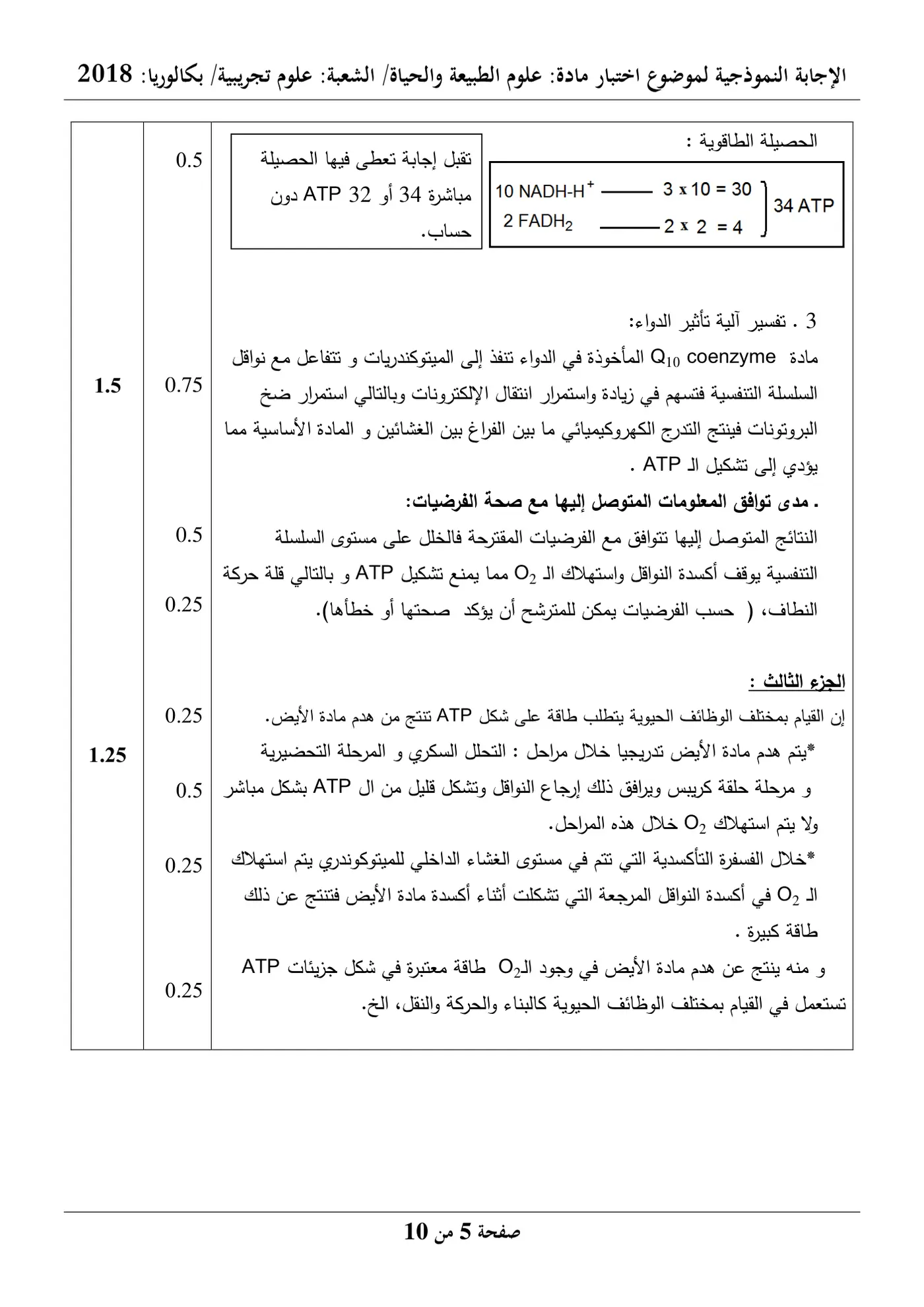 الصفحة 5 من 10