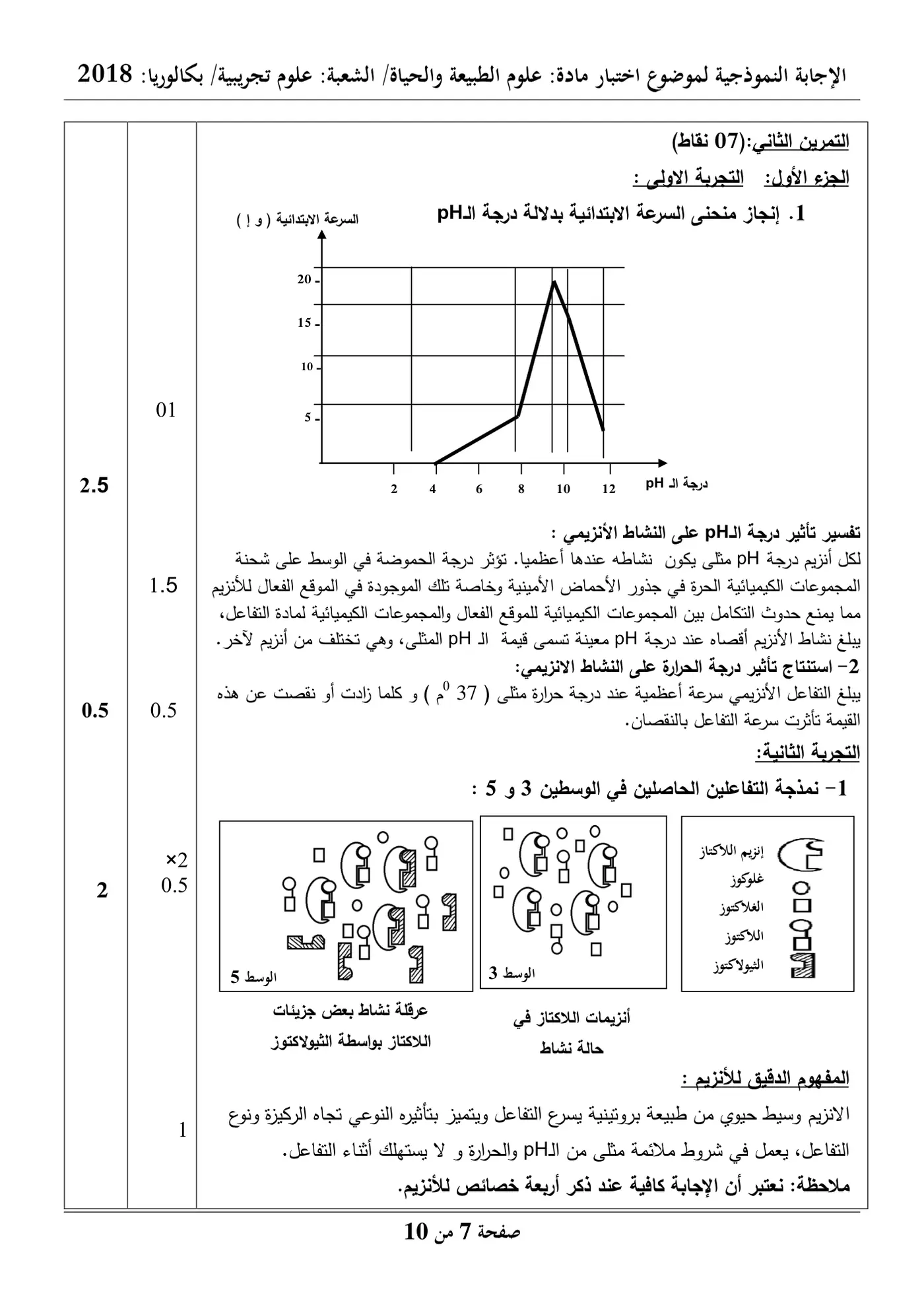 الصفحة 7 من 10