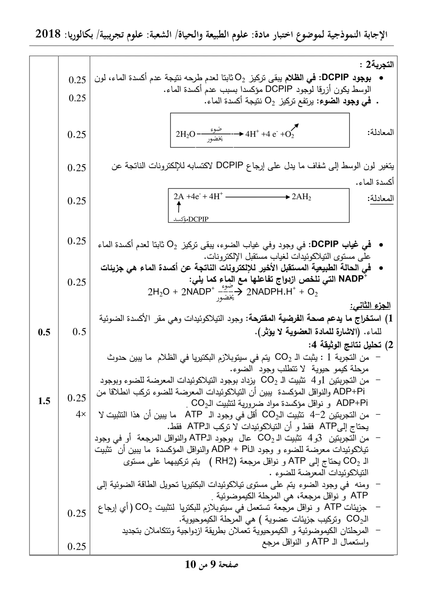 الصفحة 9 من 10
