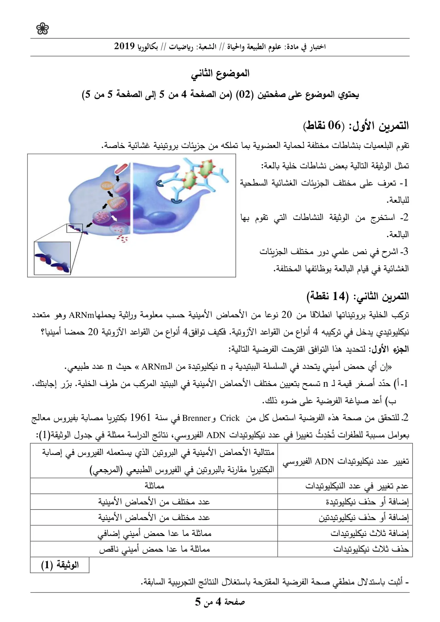 الصفحة 4 من 5