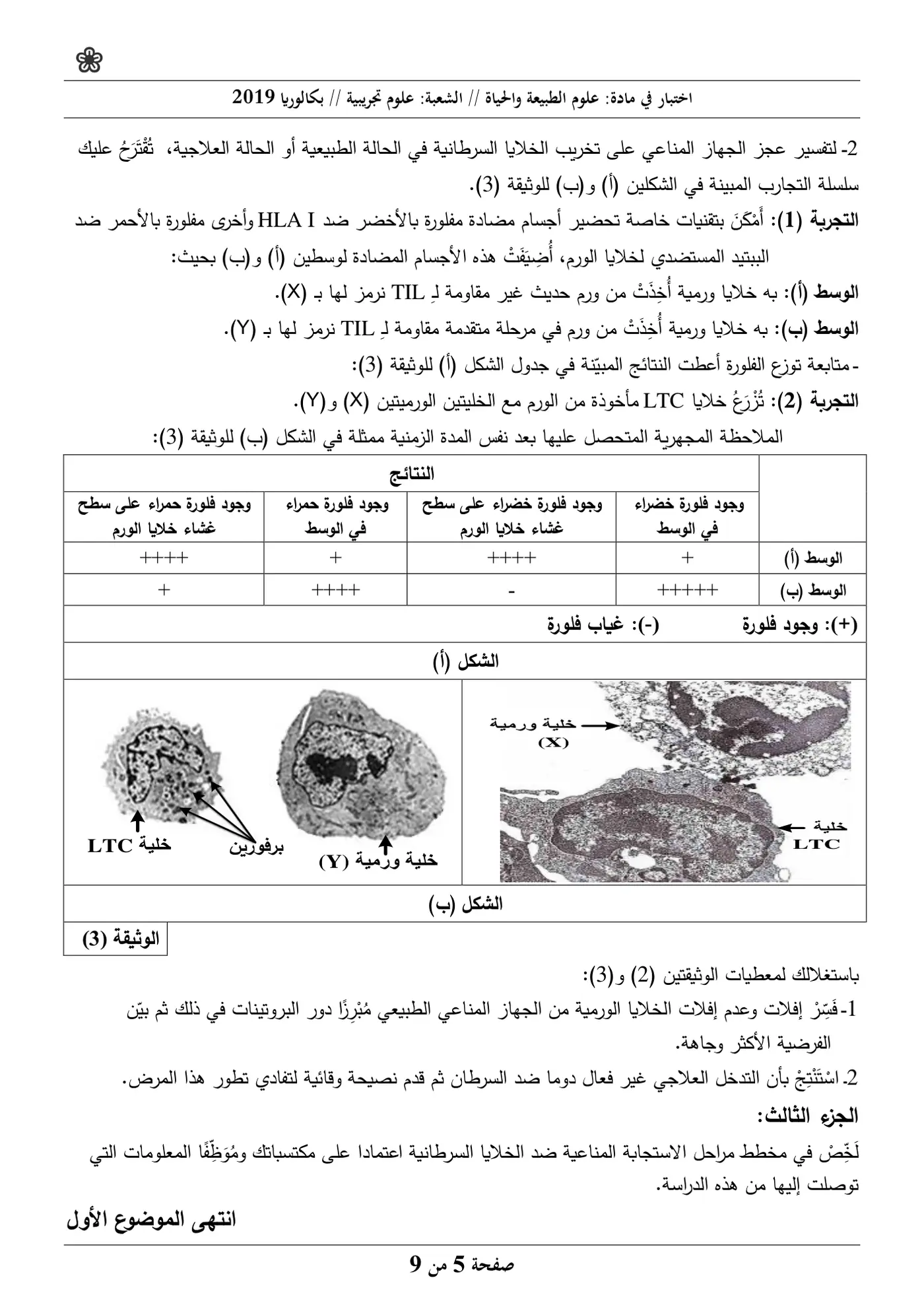 الصفحة 5 من 9