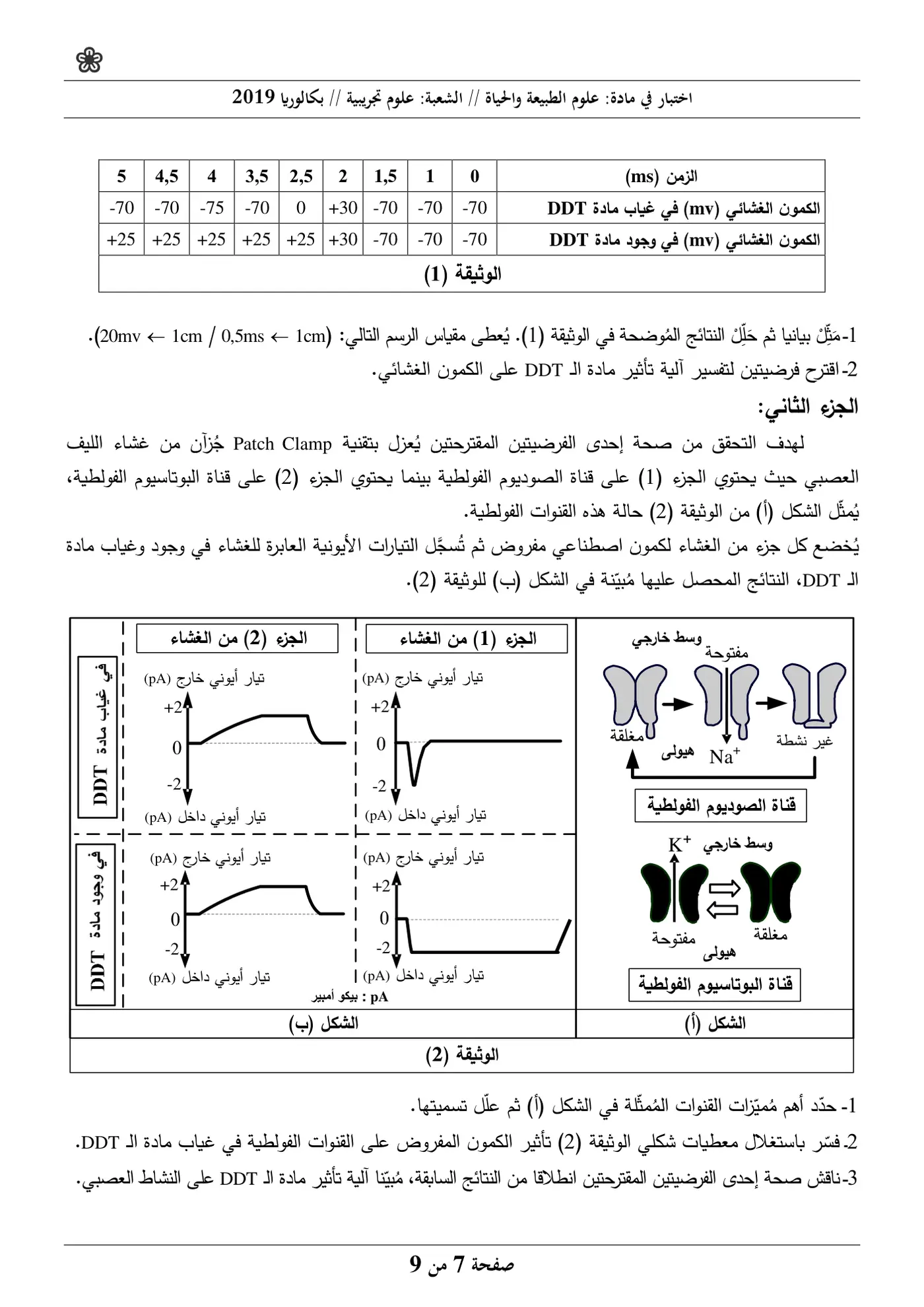 الصفحة 7 من 9