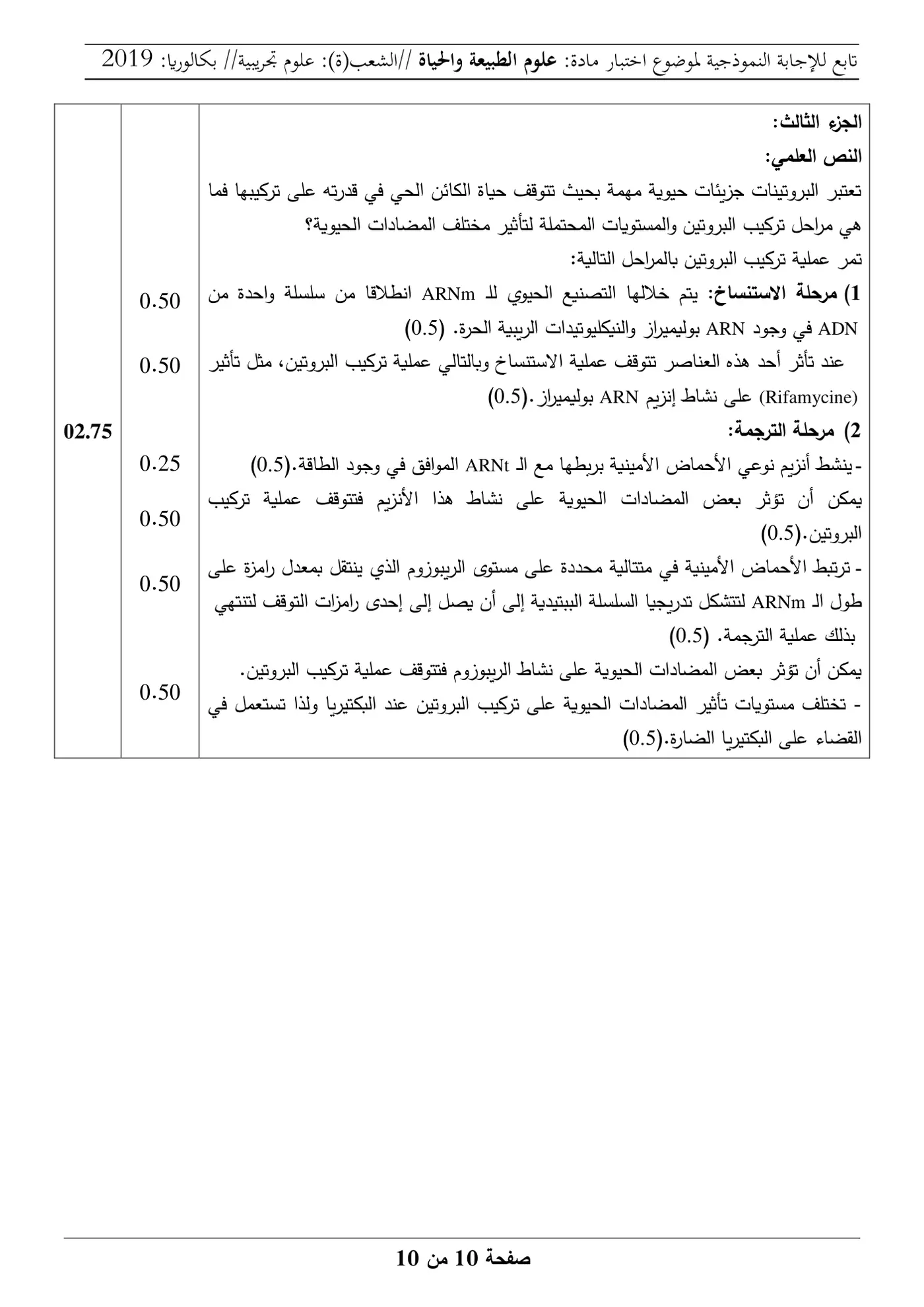 الصفحة 10 من 10