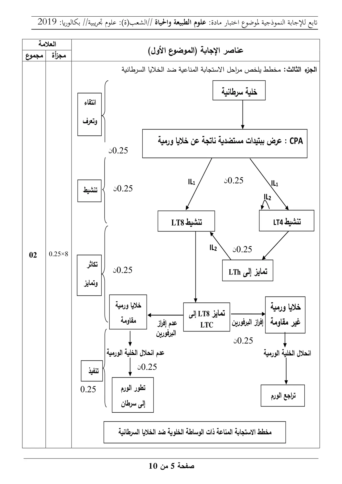 الصفحة 5 من 10