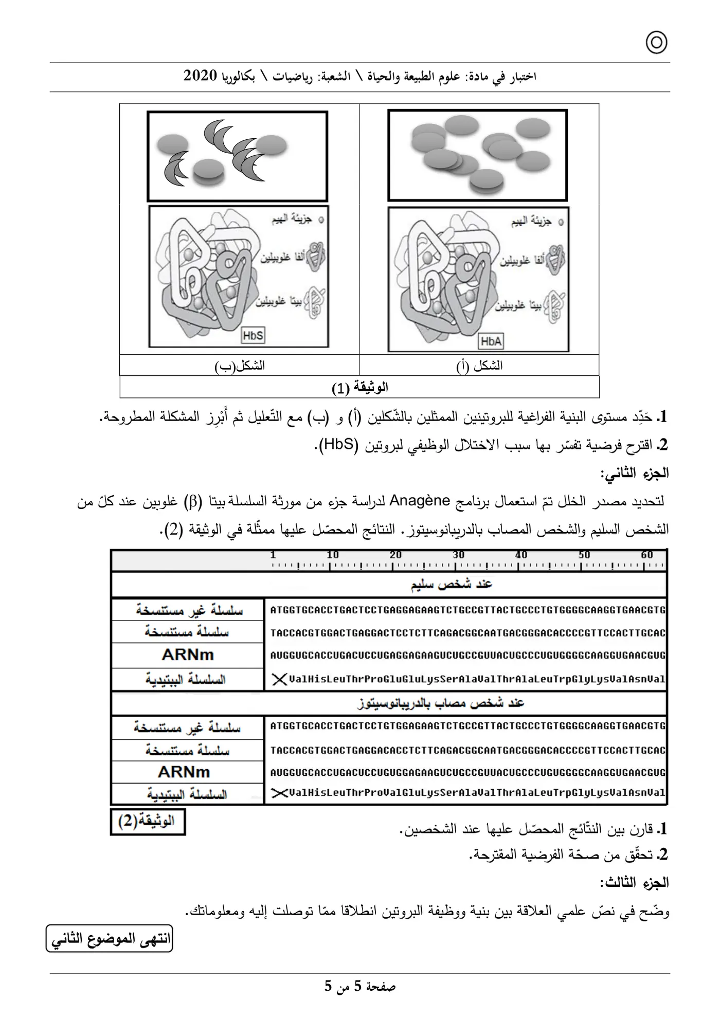 الصفحة 5 من 5