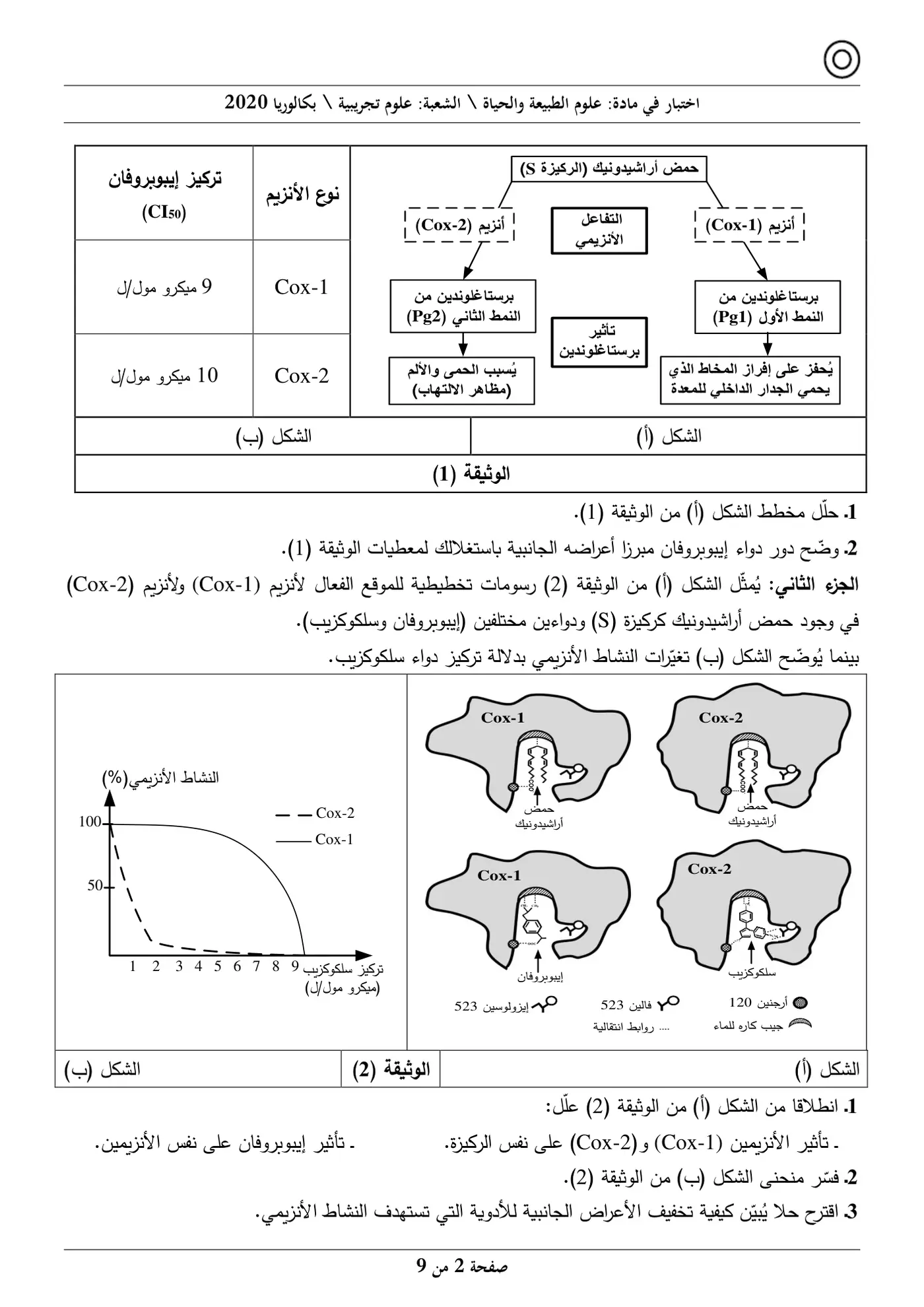 الصفحة 2 من 9