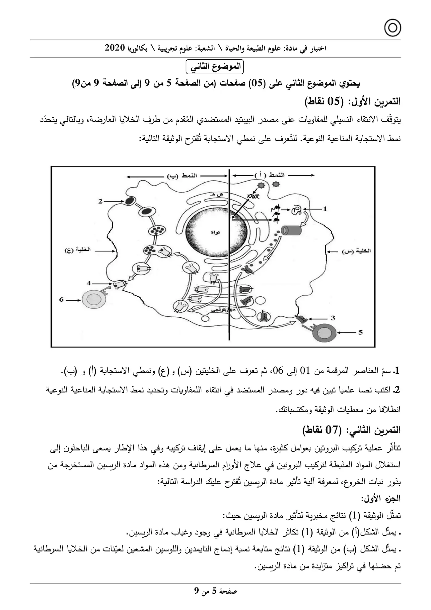 الصفحة 5 من 9
