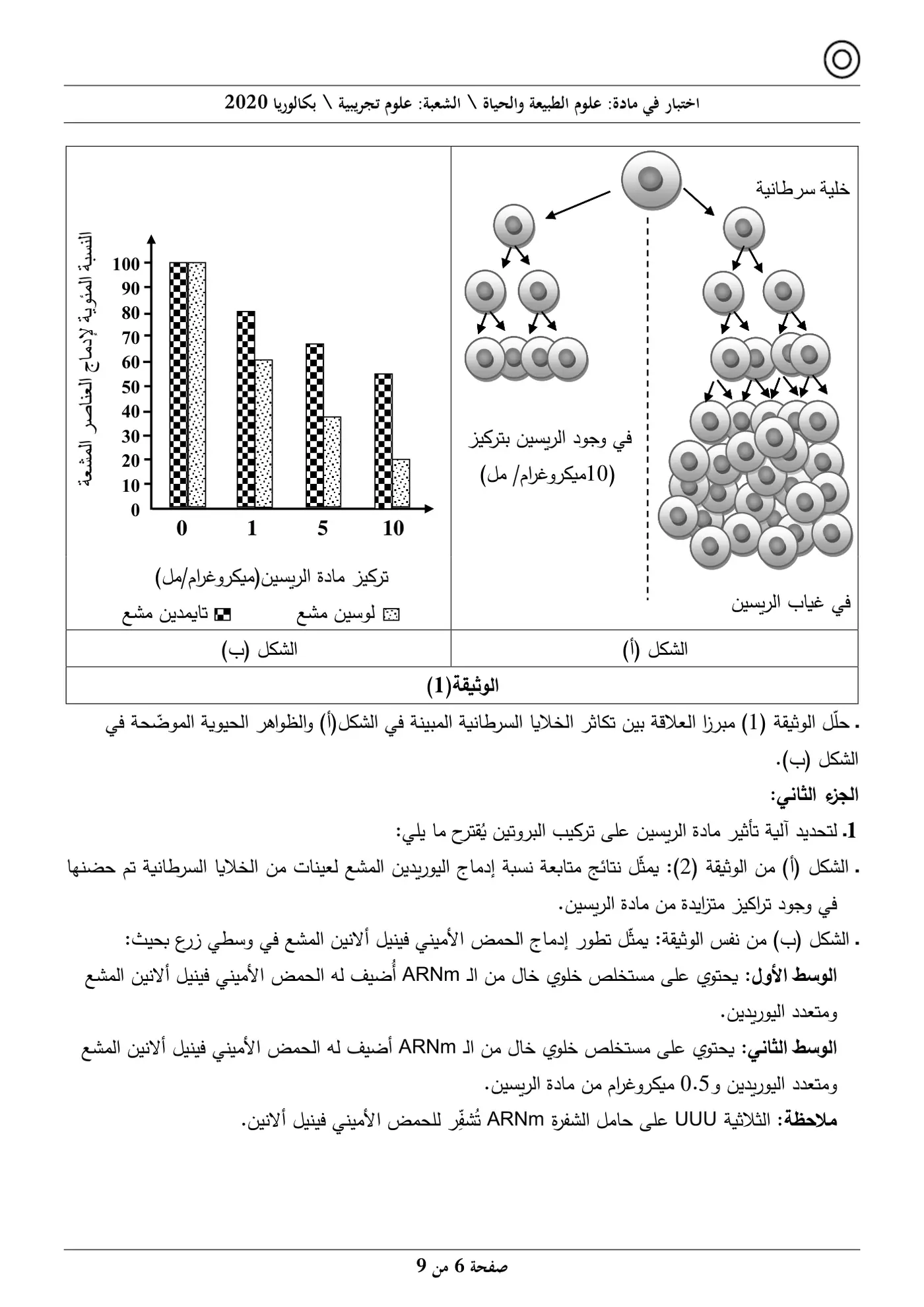الصفحة 6 من 9