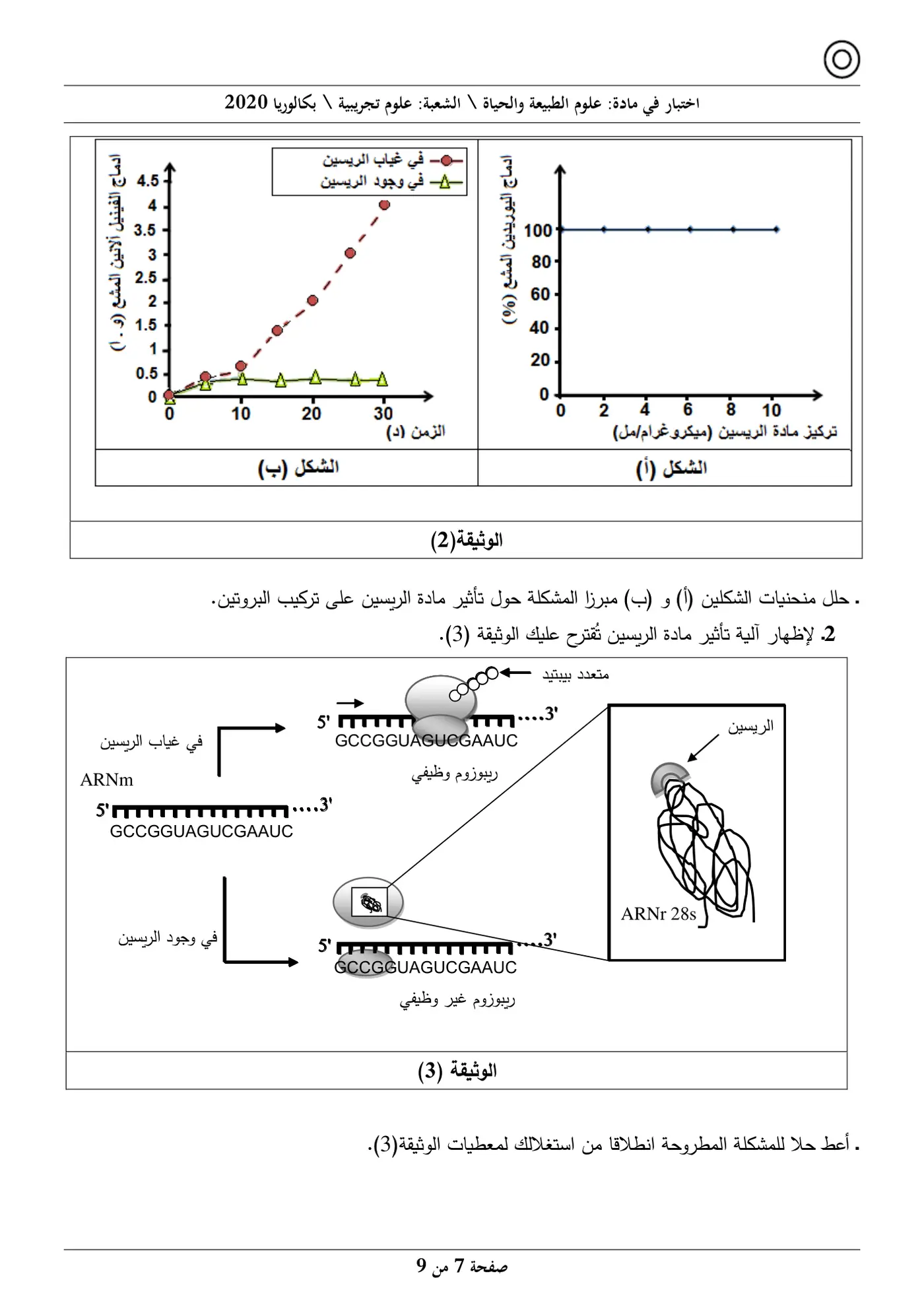 الصفحة 7 من 9