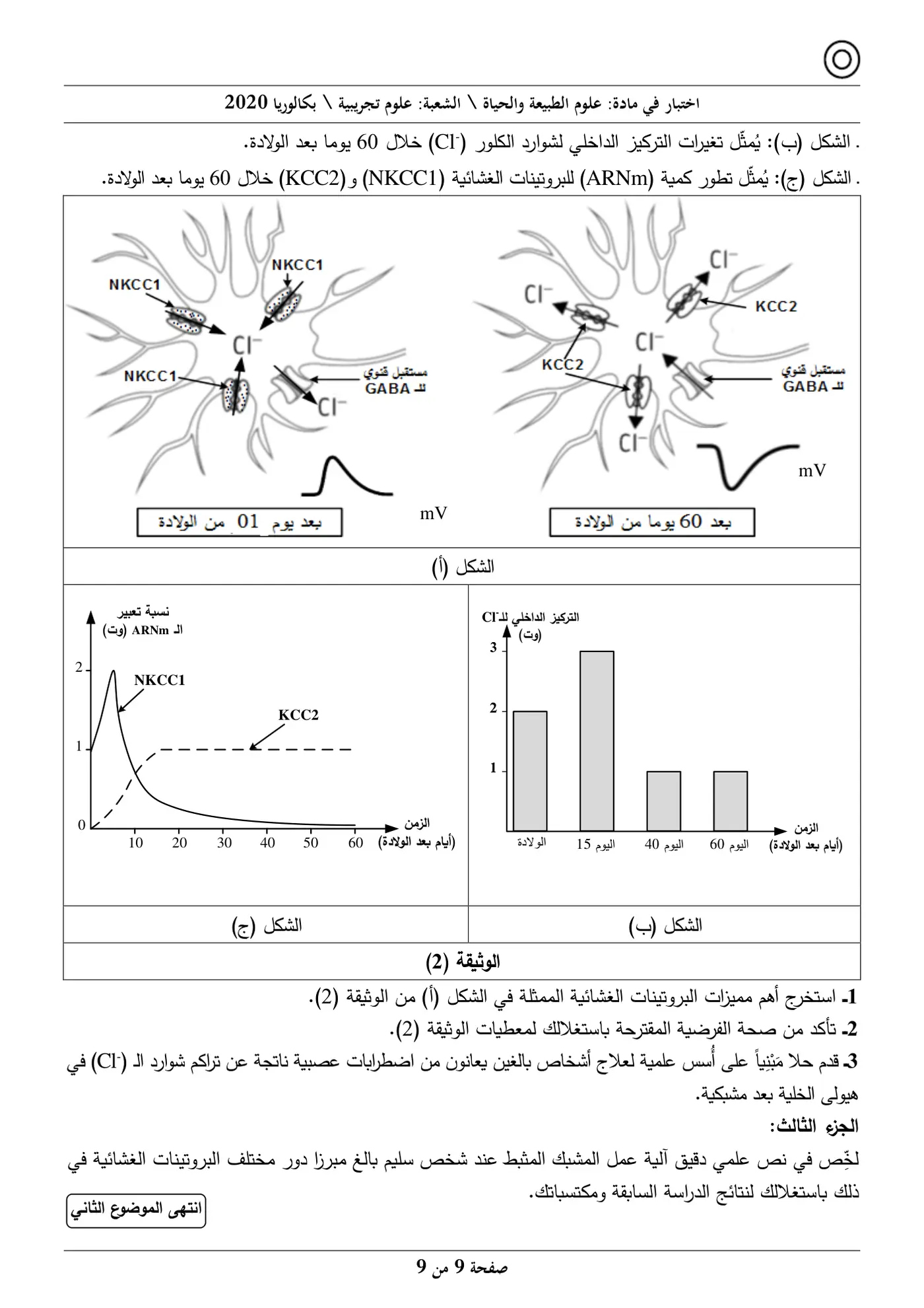 الصفحة 9 من 9