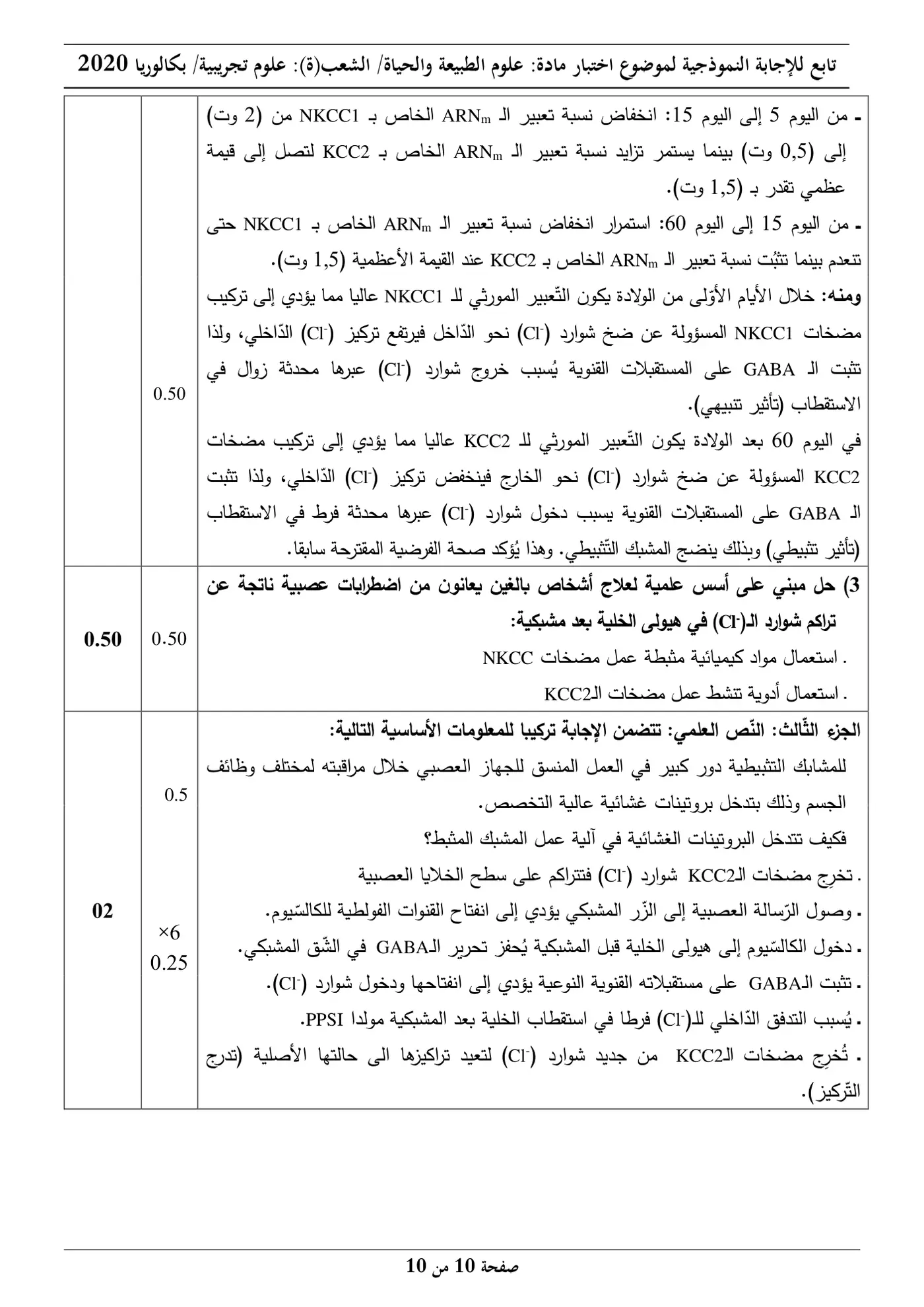 الصفحة 10 من 10