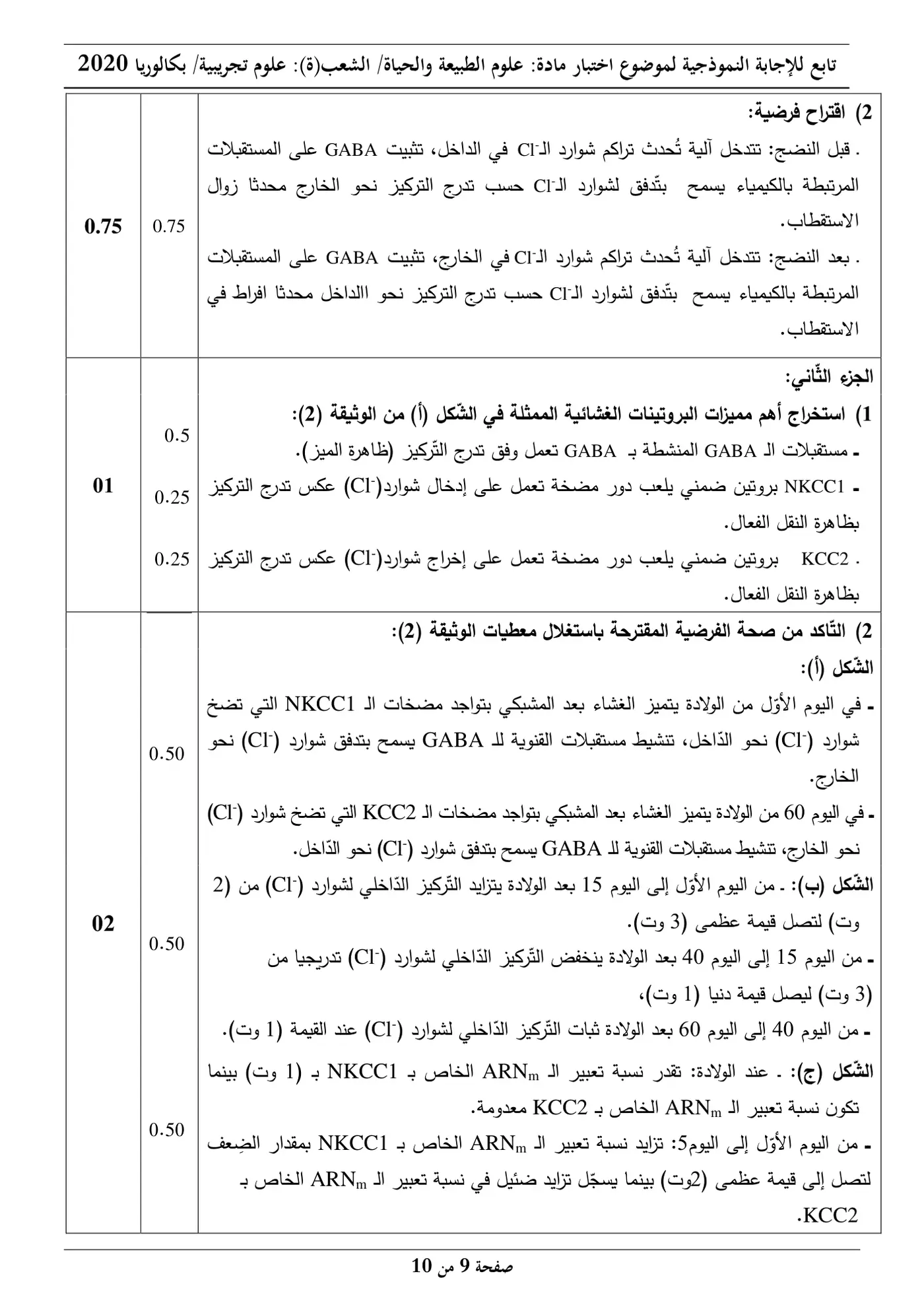 الصفحة 9 من 10