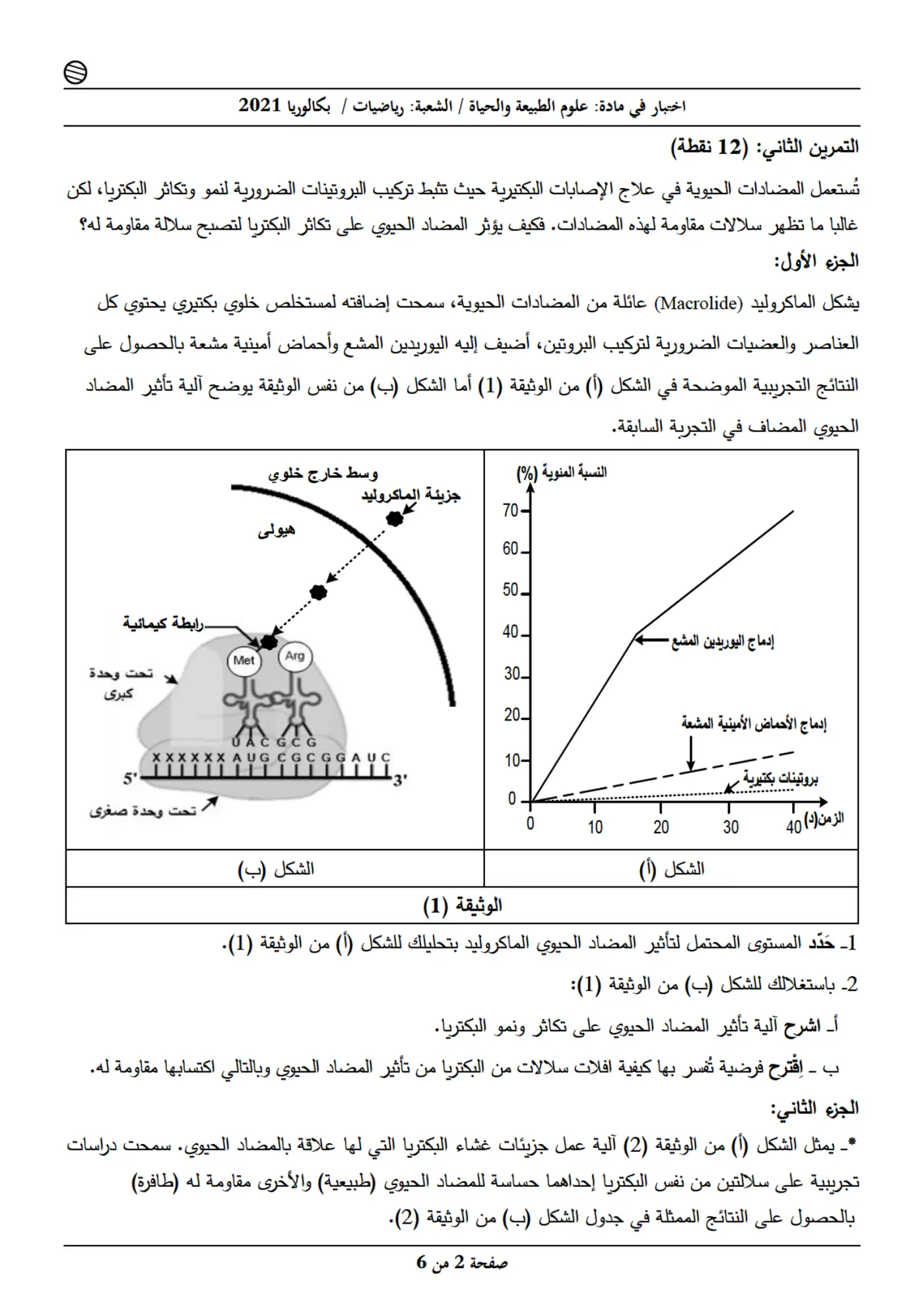 الصفحة 2 من 6