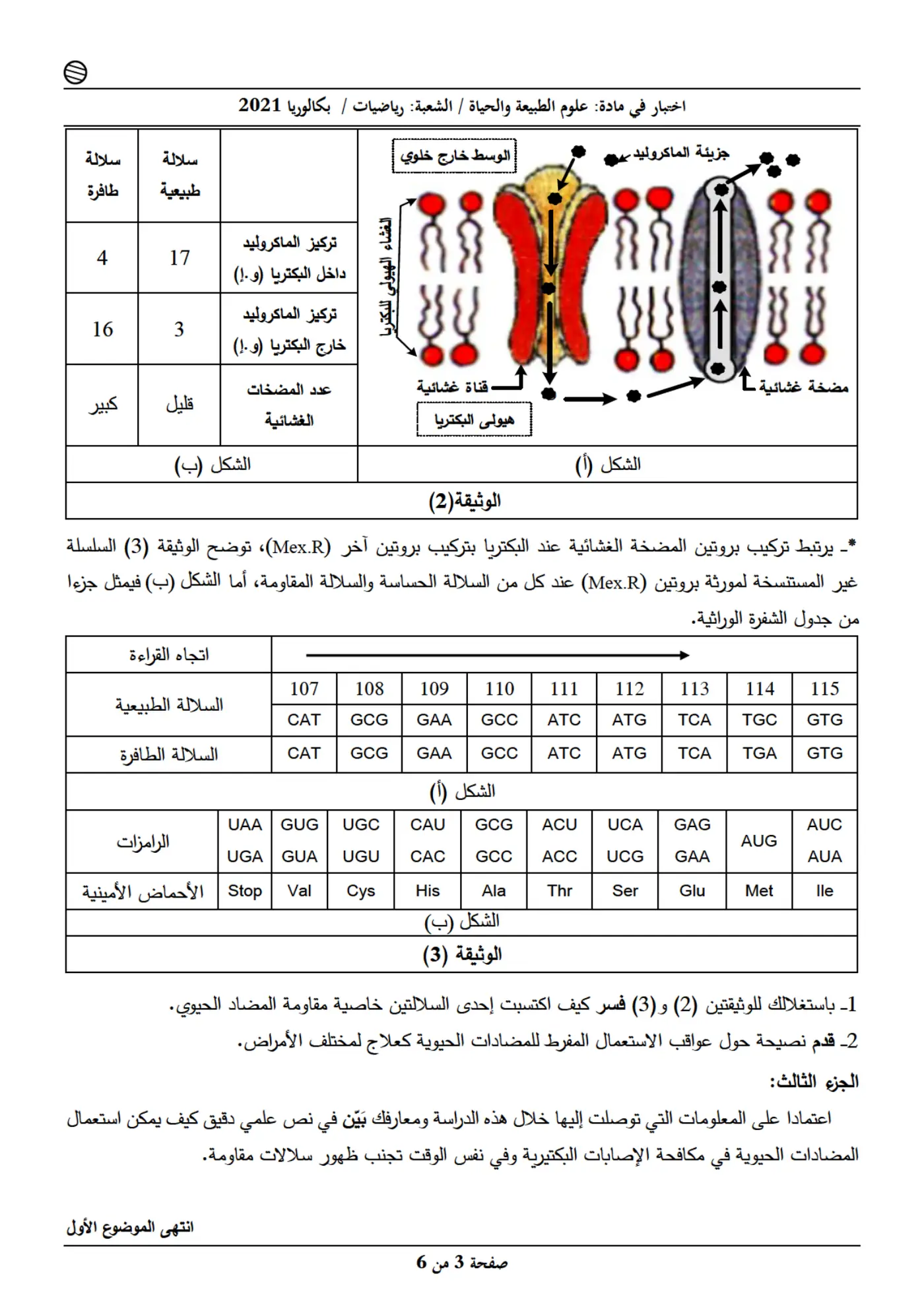 الصفحة 3 من 6
