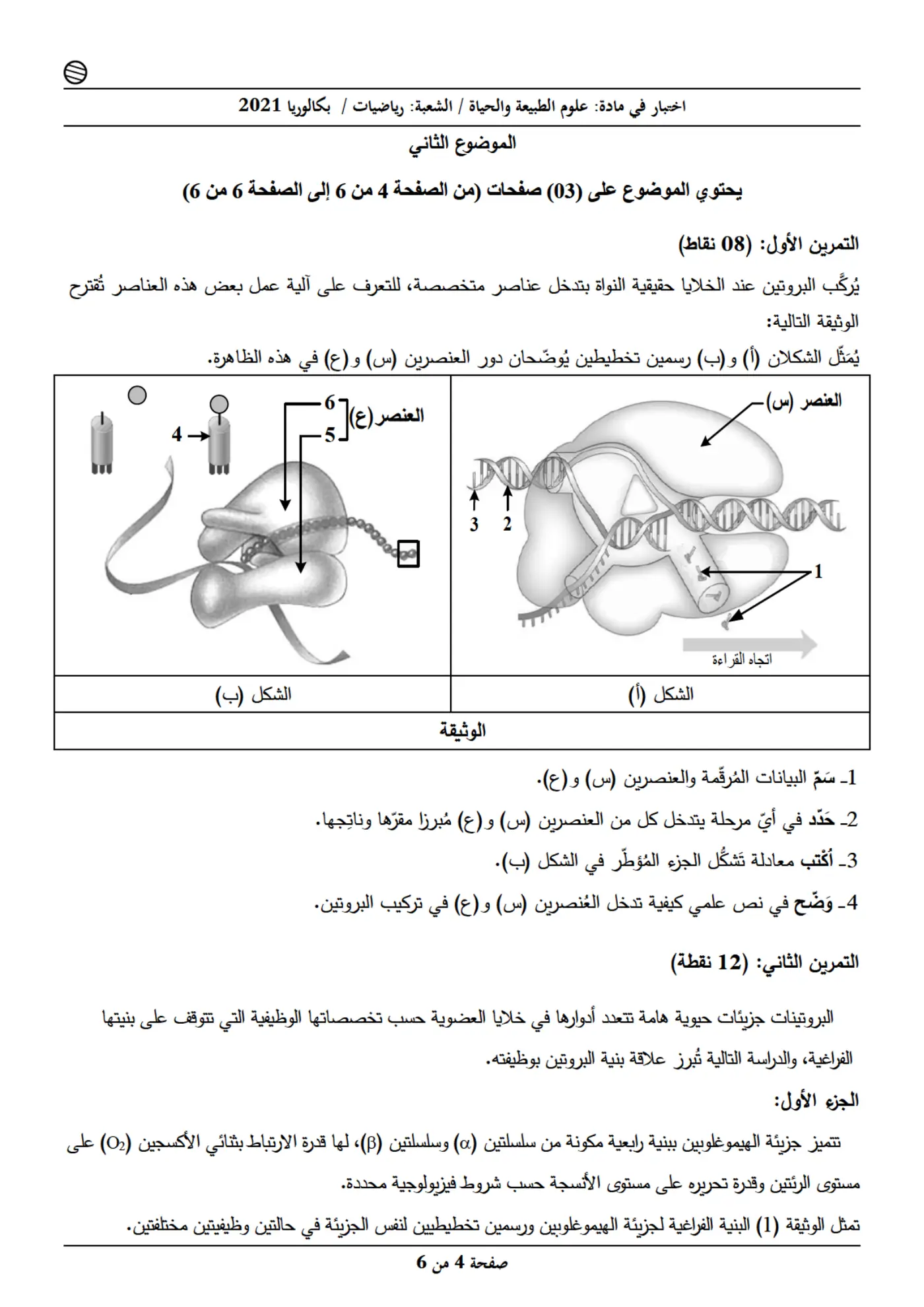 الصفحة 4 من 6