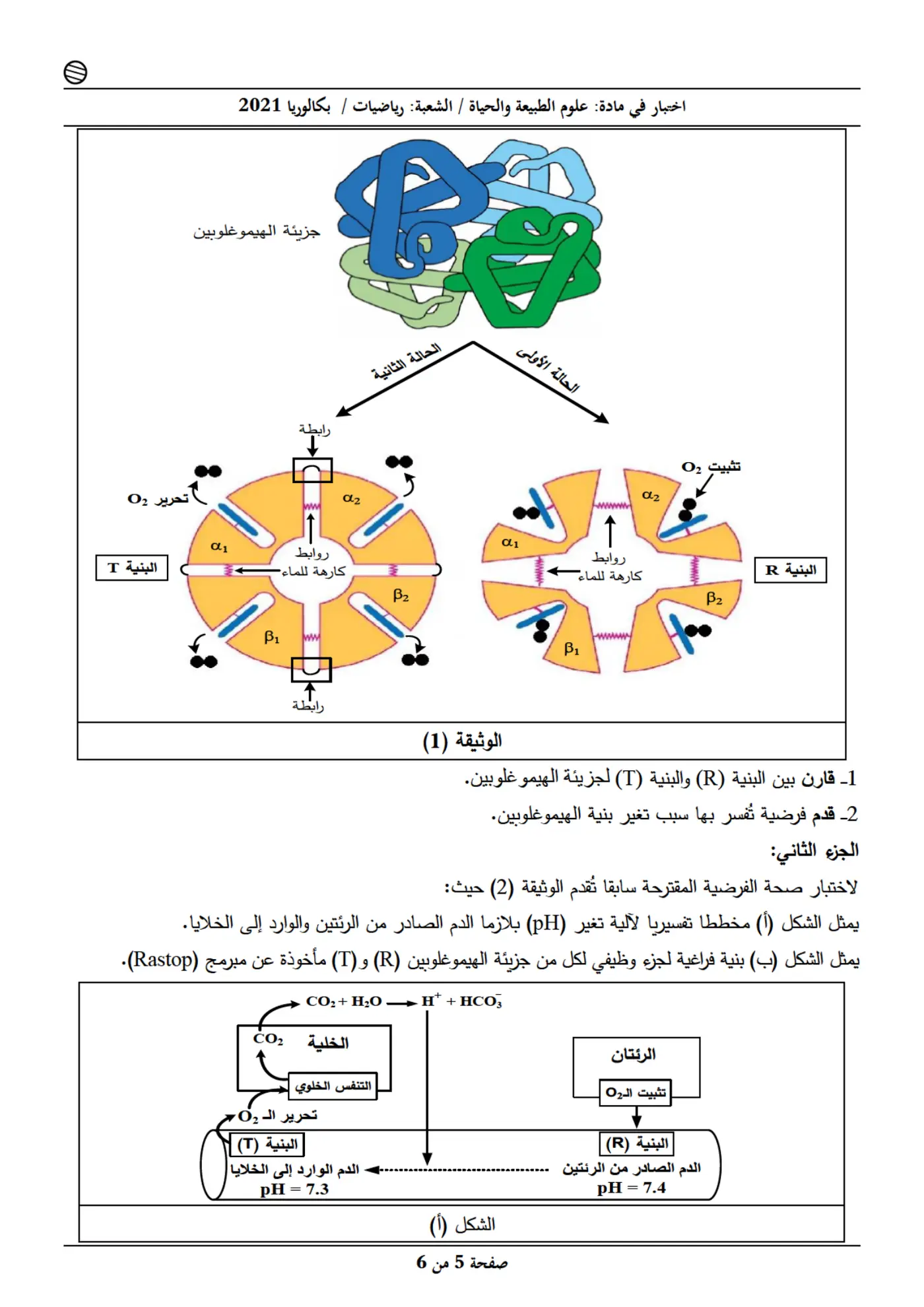 الصفحة 5 من 6