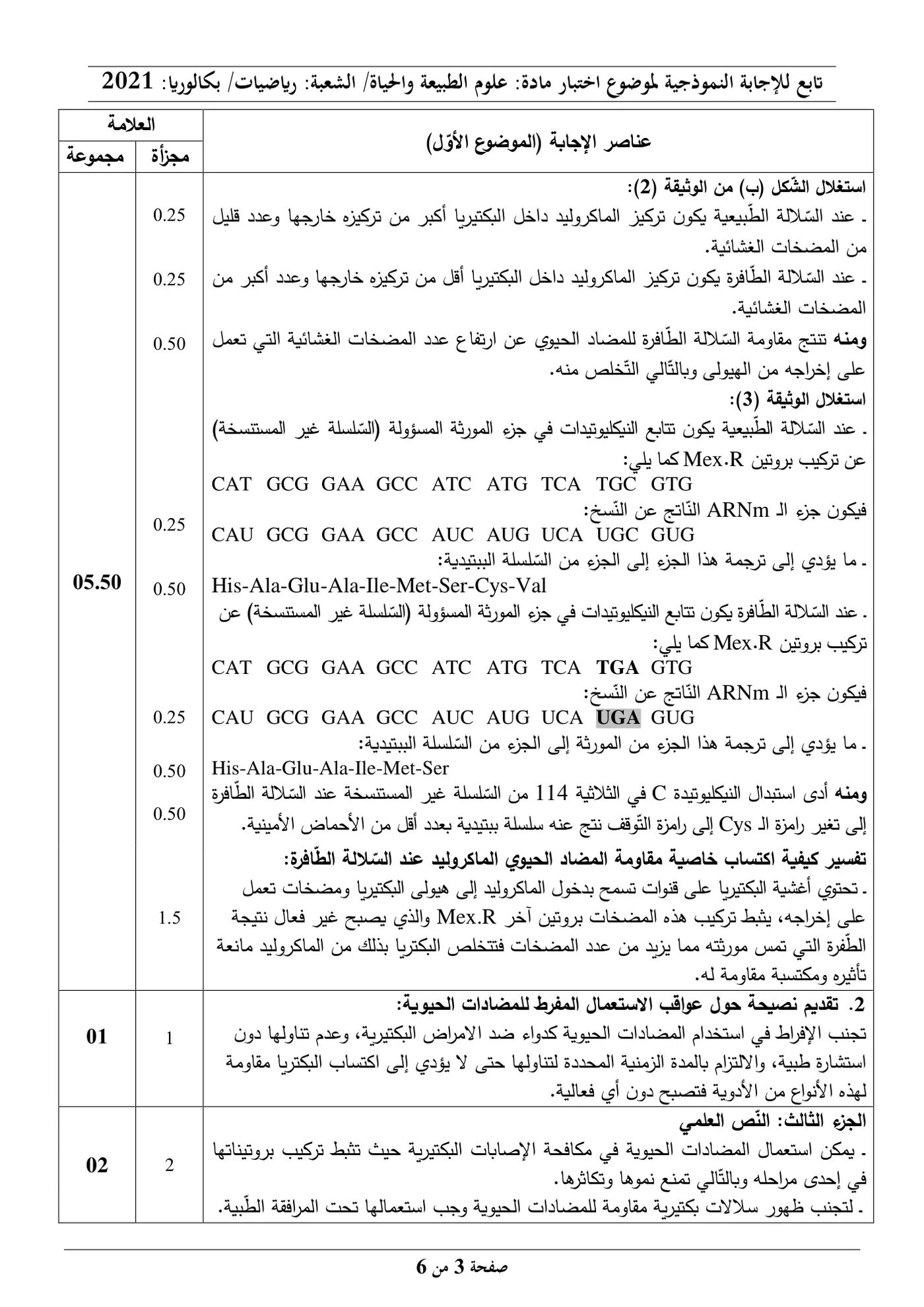 الصفحة 3 من 6