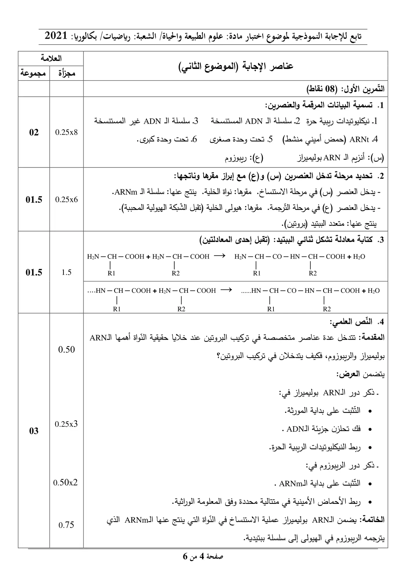 الصفحة 4 من 6