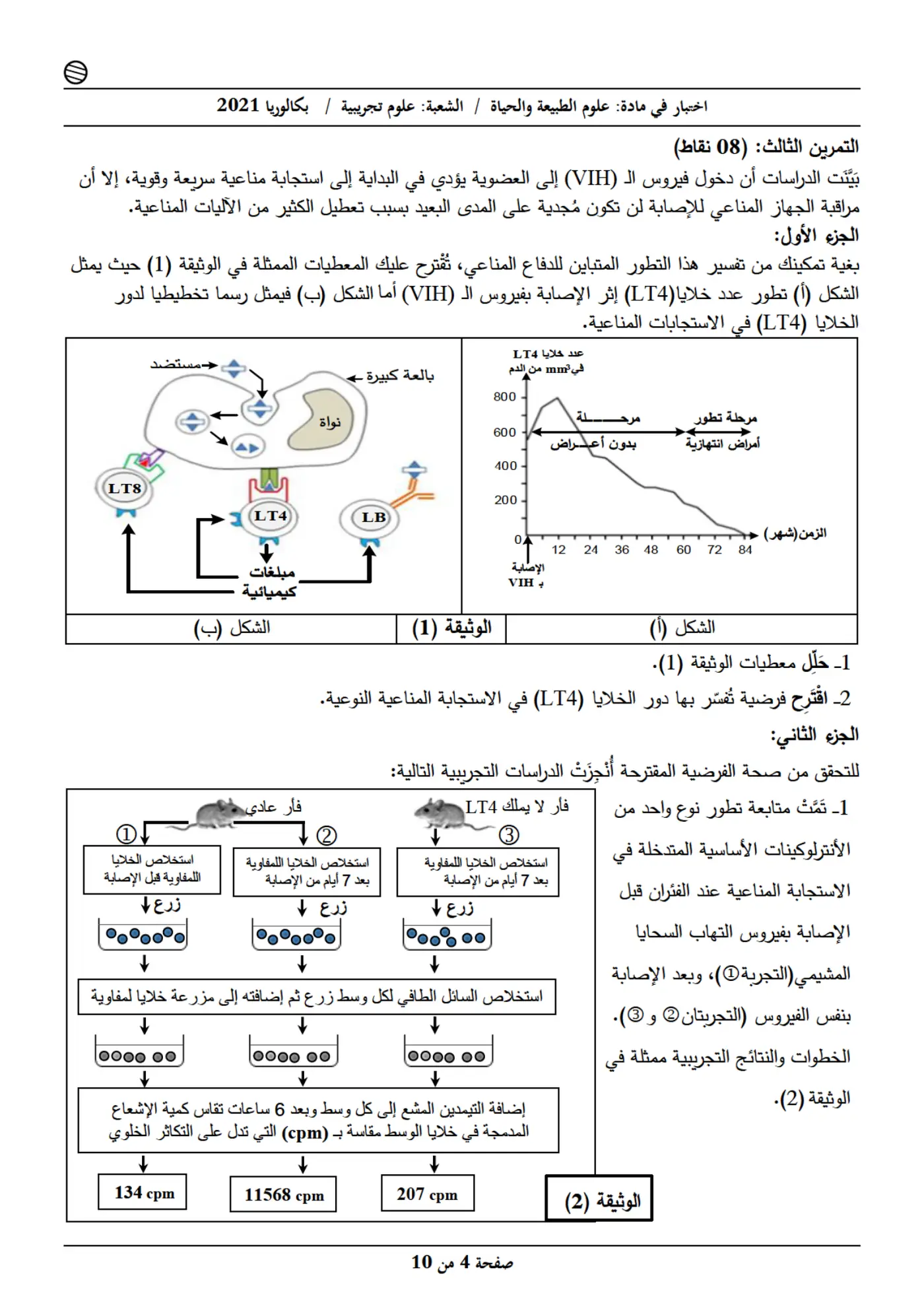 الصفحة 4 من 10