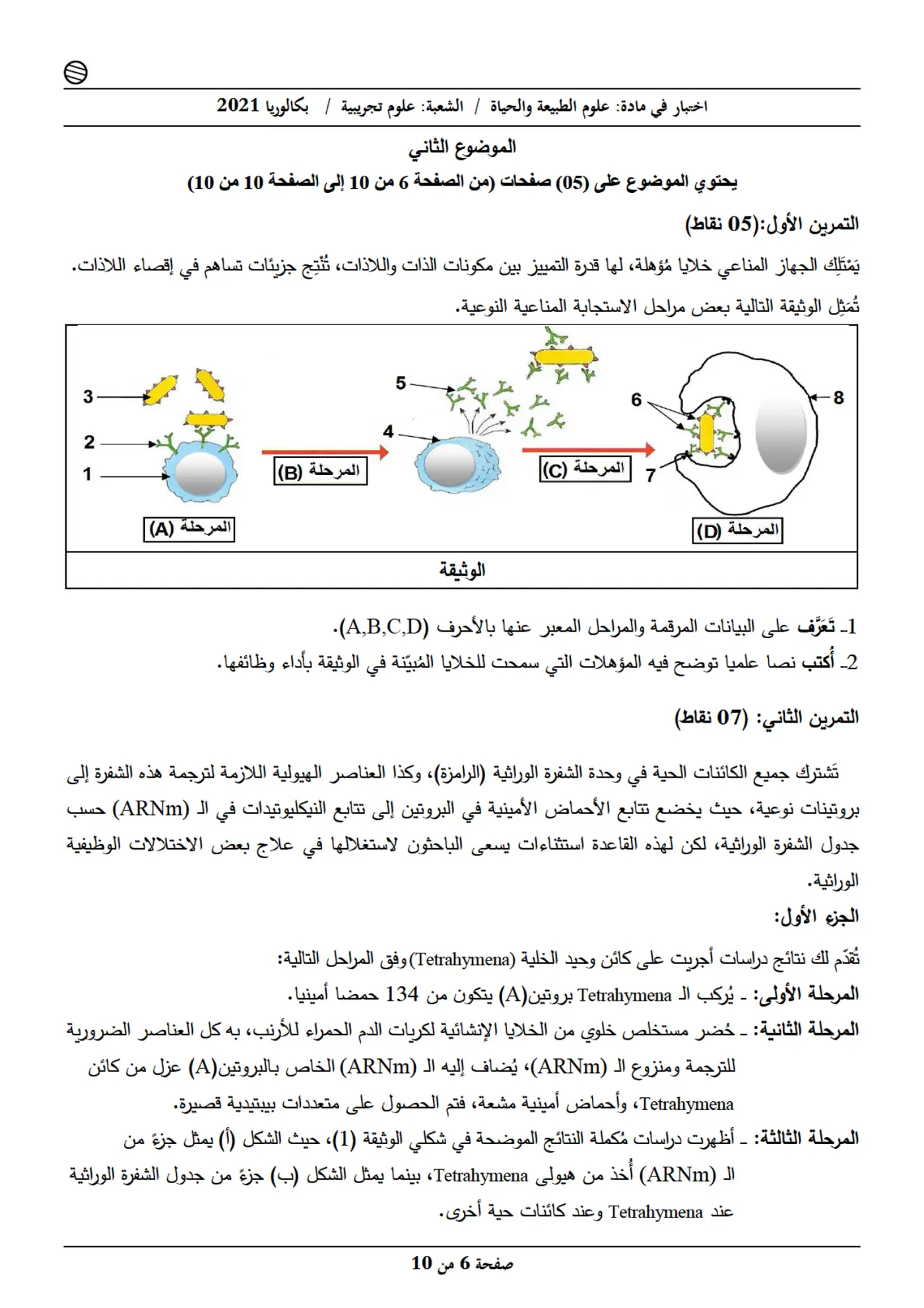 الصفحة 6 من 10