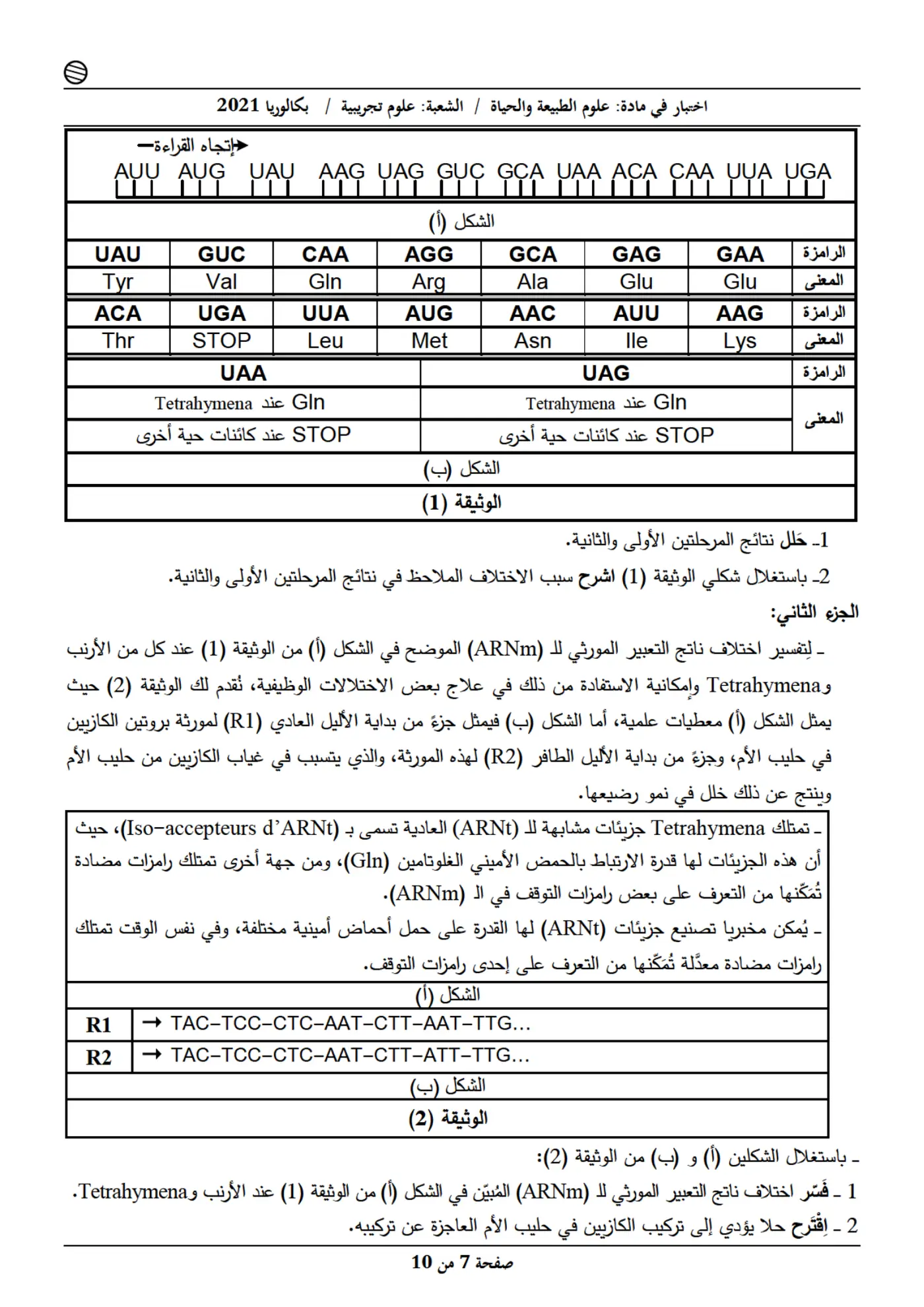 الصفحة 7 من 10