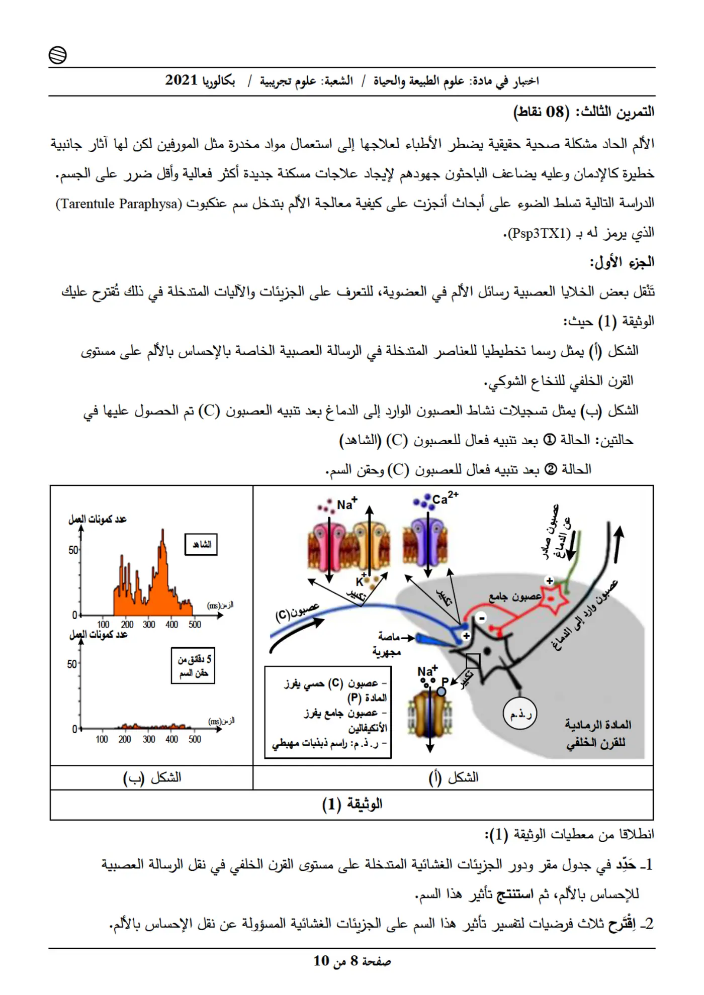 الصفحة 8 من 10
