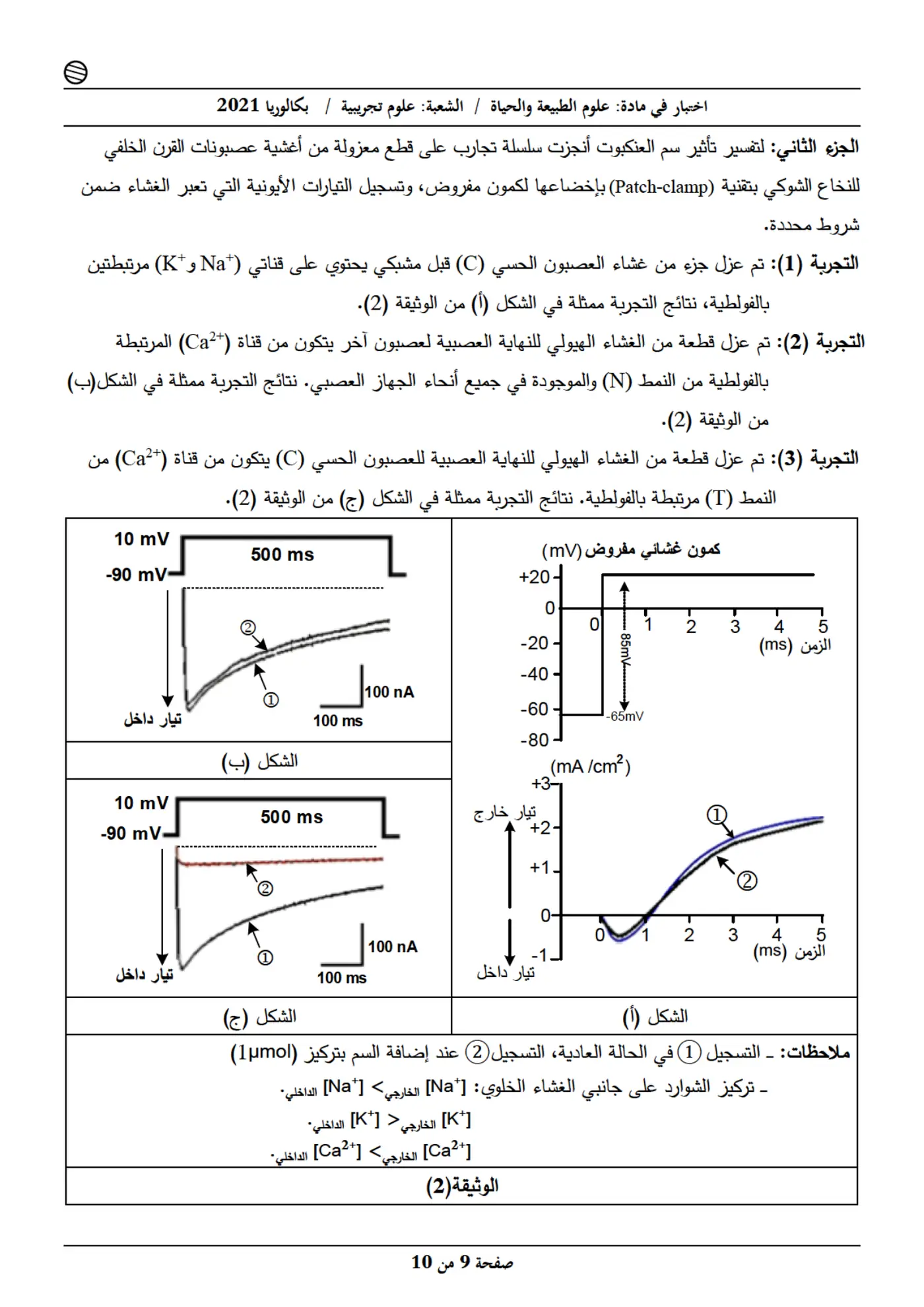 الصفحة 9 من 10
