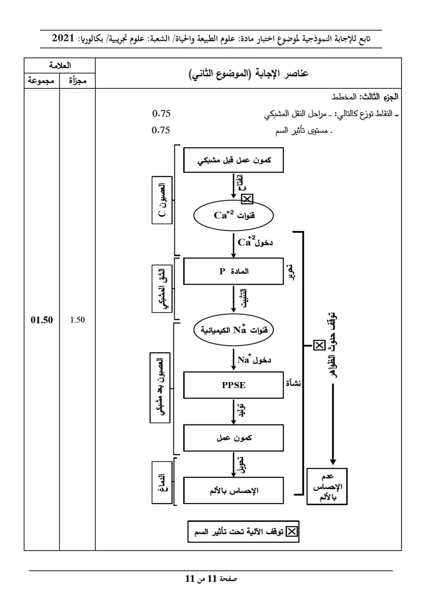 الصفحة 11 من 11