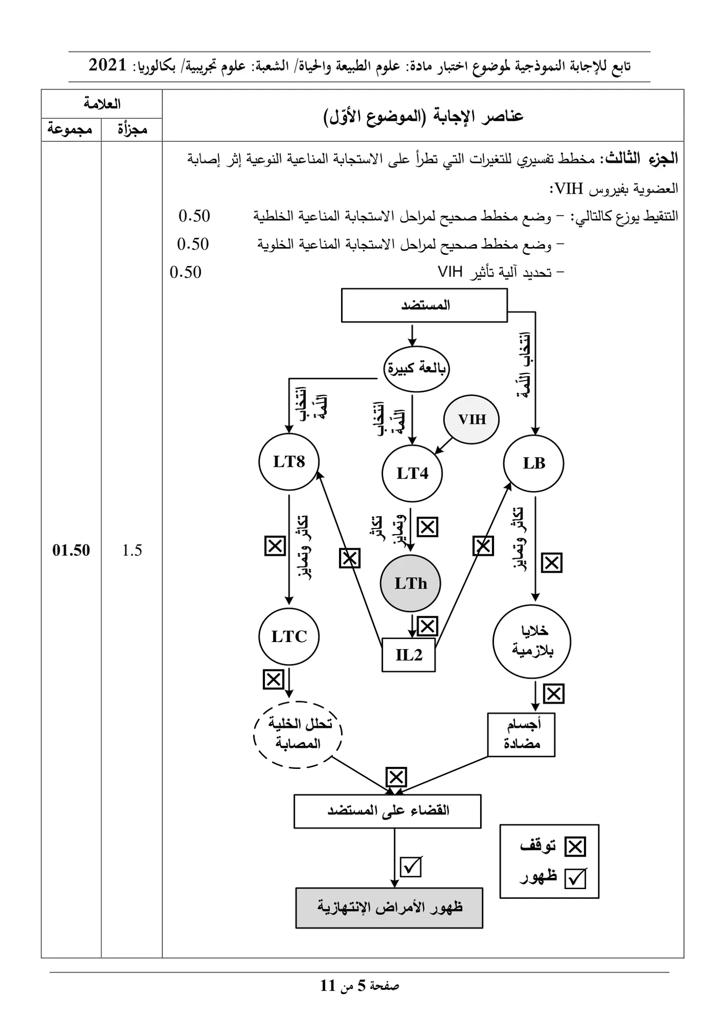 الصفحة 5 من 11
