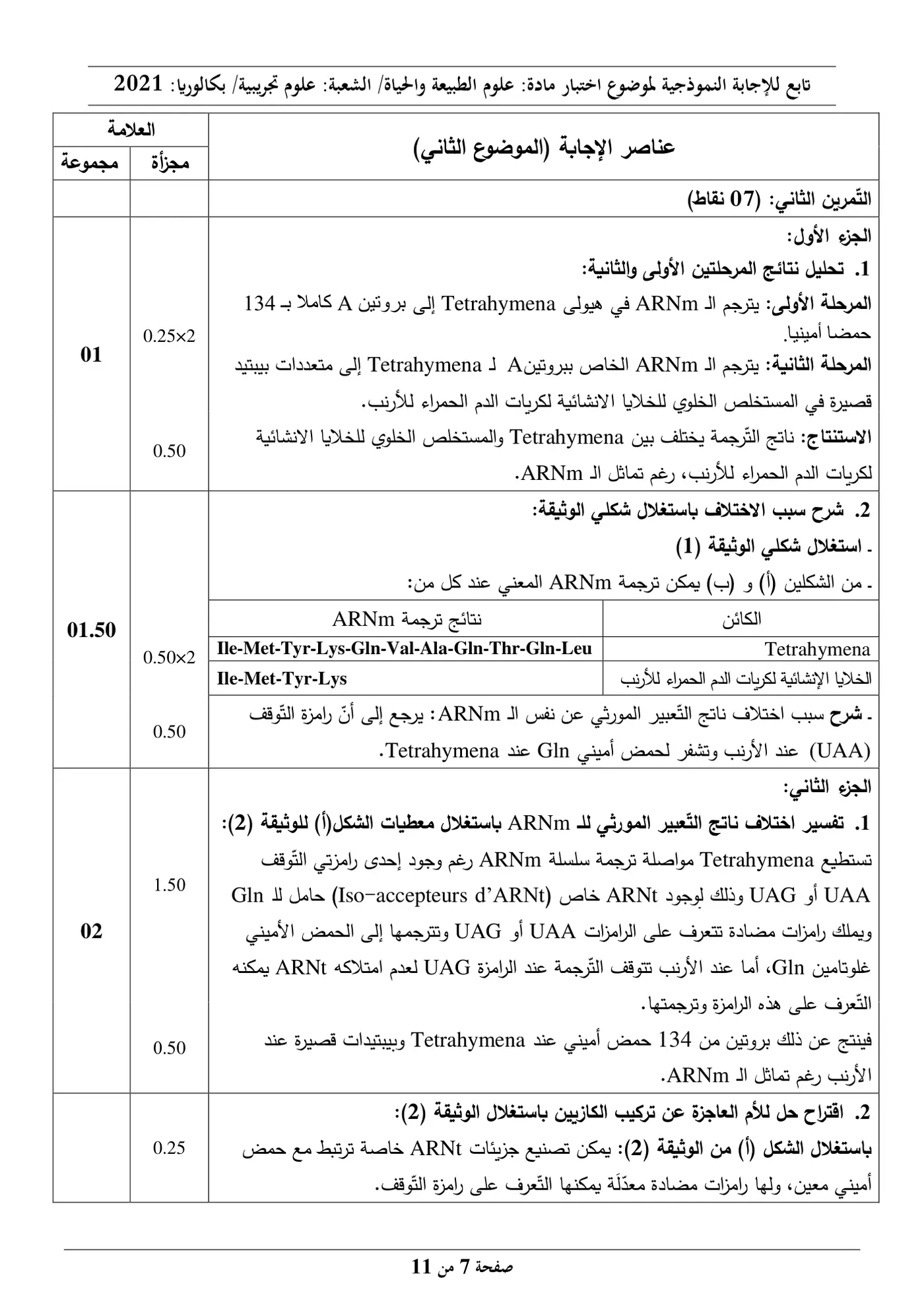 الصفحة 7 من 11
