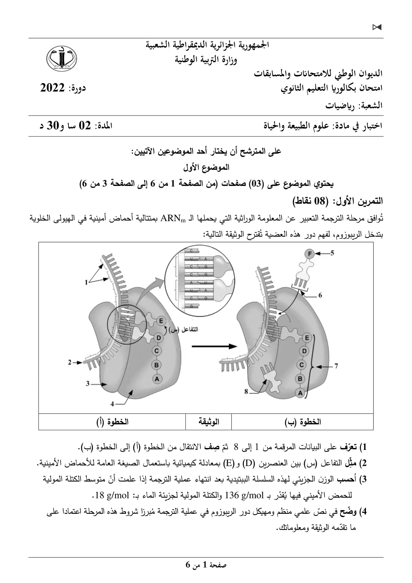 الصفحة 1 من 6
