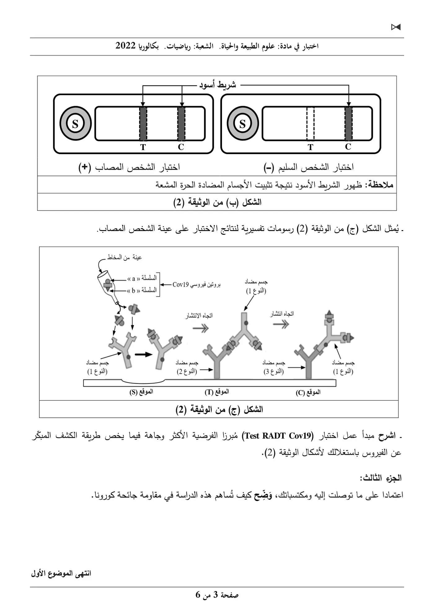 الصفحة 3 من 6