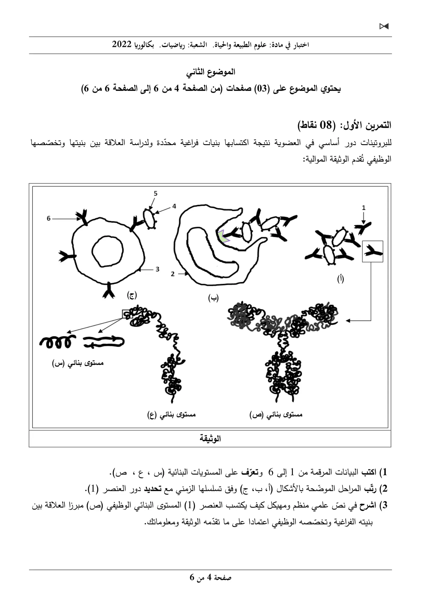 الصفحة 4 من 6